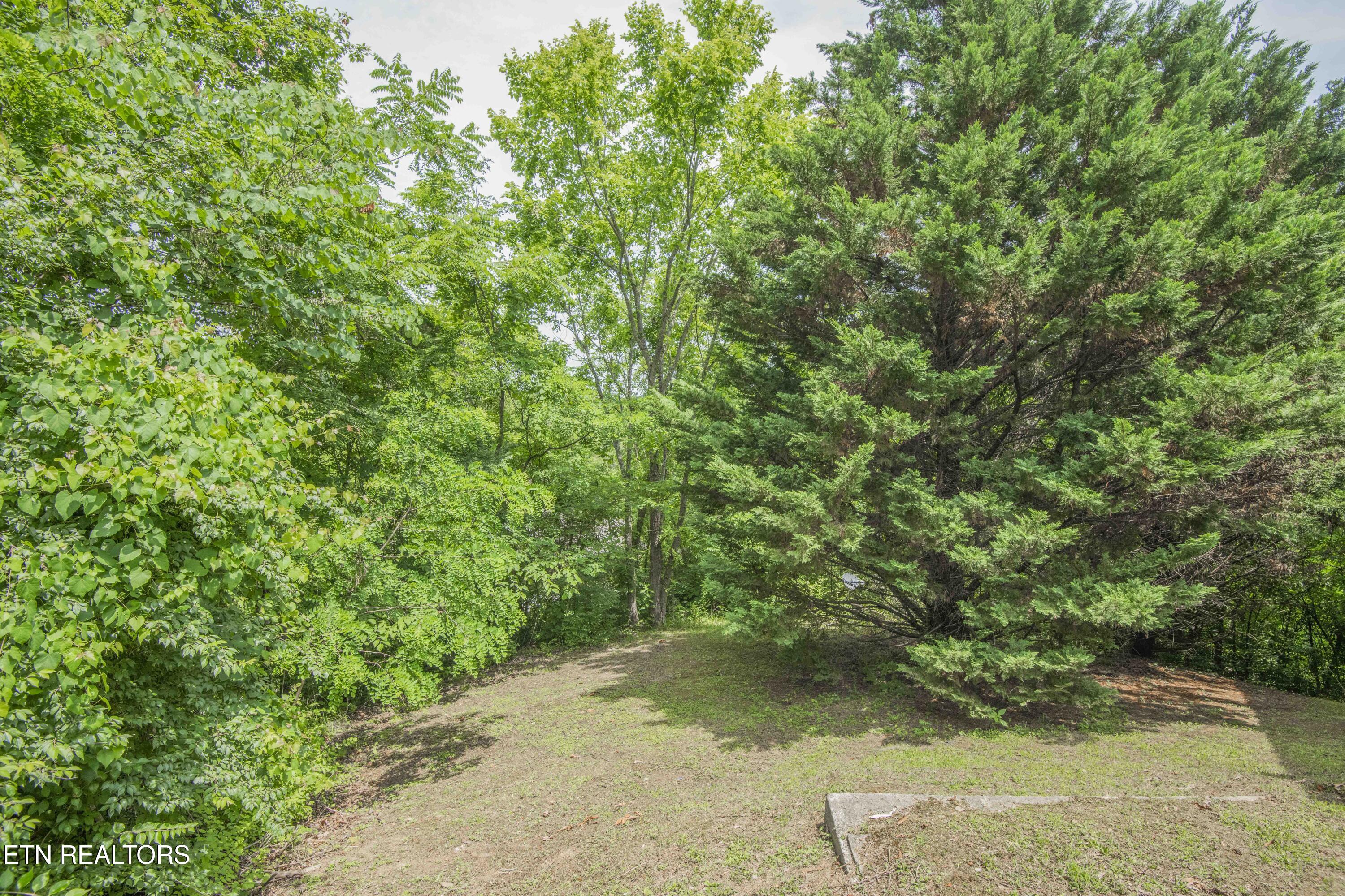 1615 Paradise Ridge Drive Property Photo 36