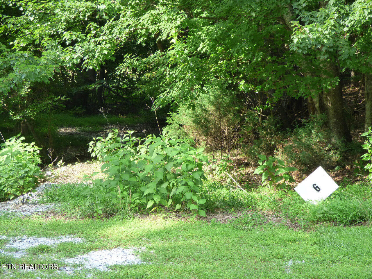 Lot 6 Cove Springs Drive Property Photo 1