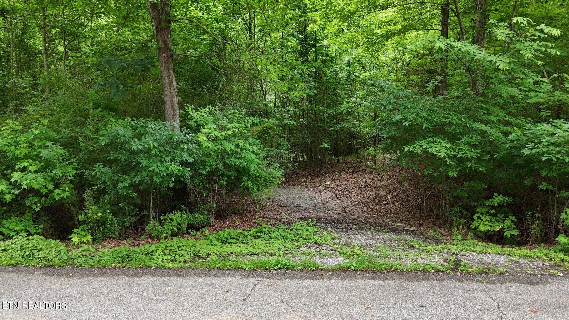 5671 Willow Point Lane Property Photo 1