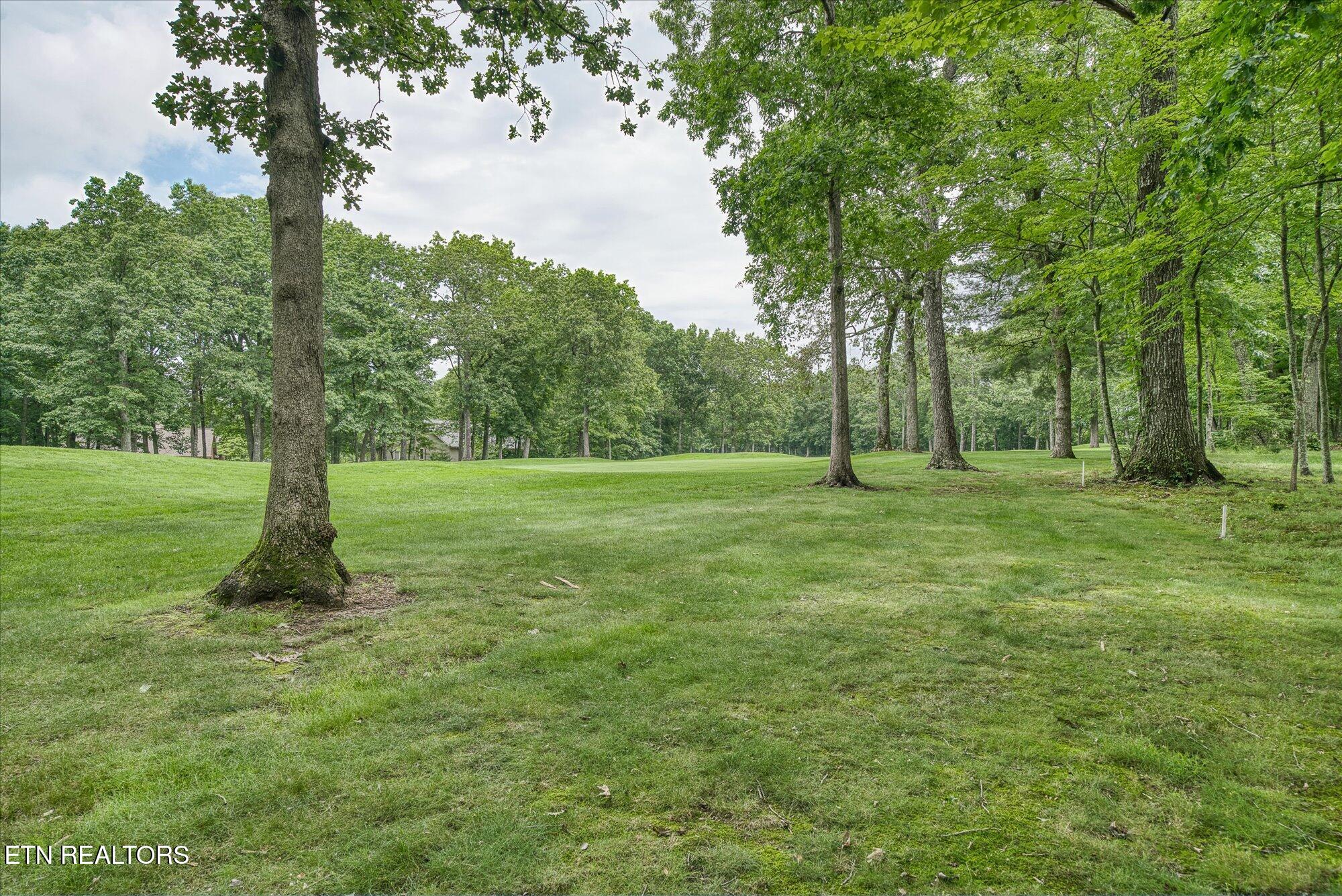 21 Lexham Court Property Photo 35