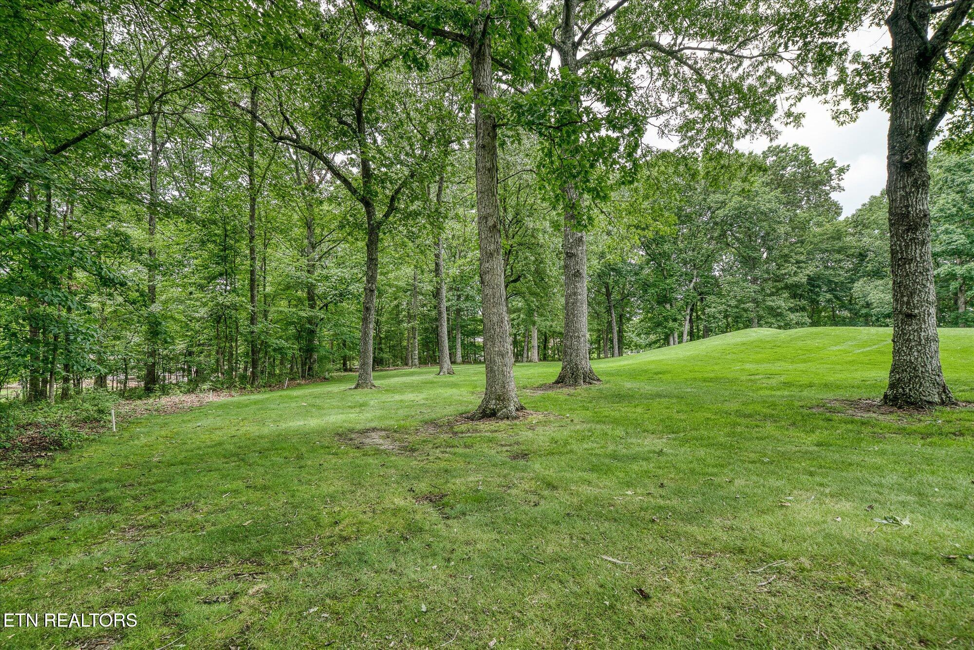 21 Lexham Court Property Photo 41