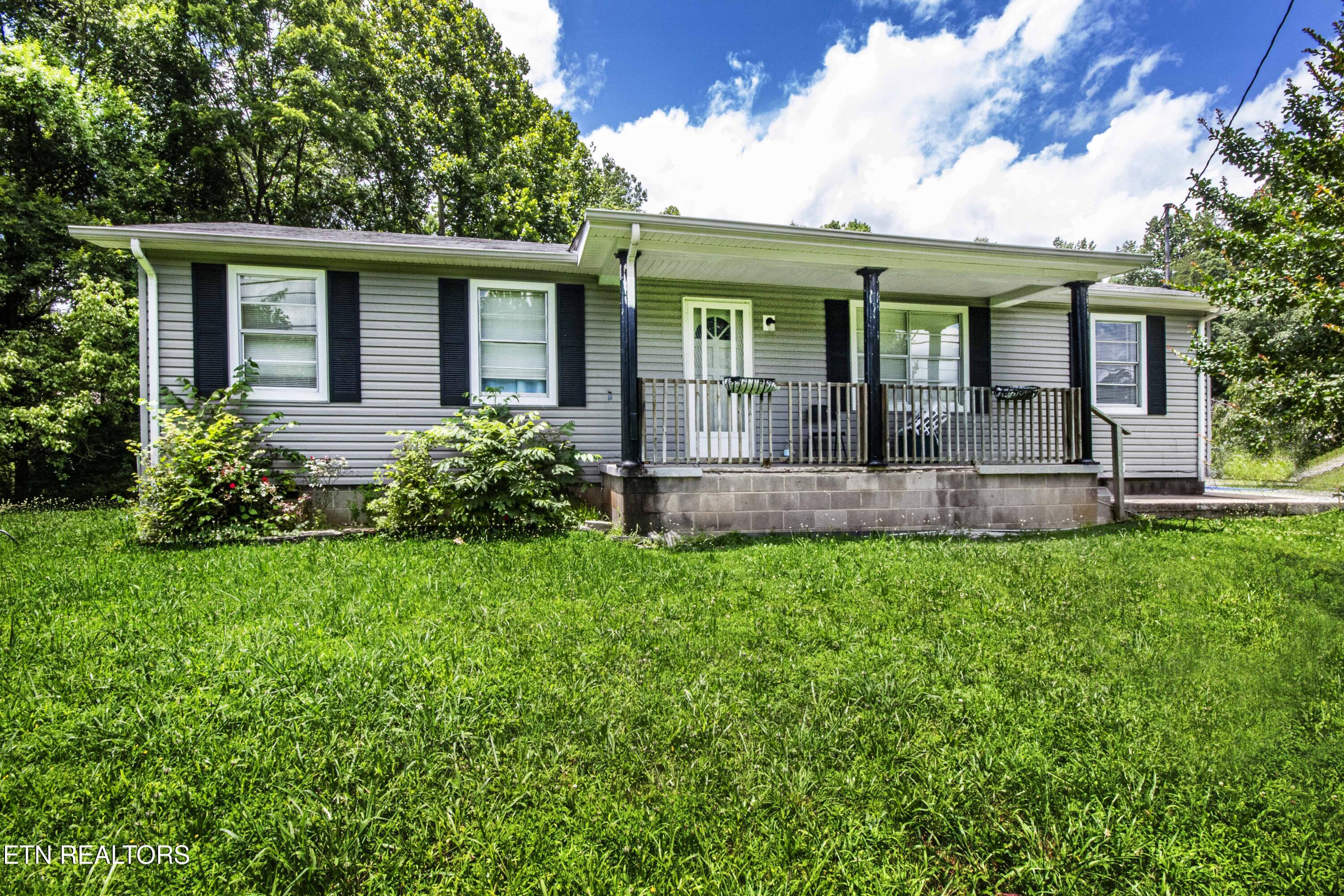 167 Strutt St Property Photo 1