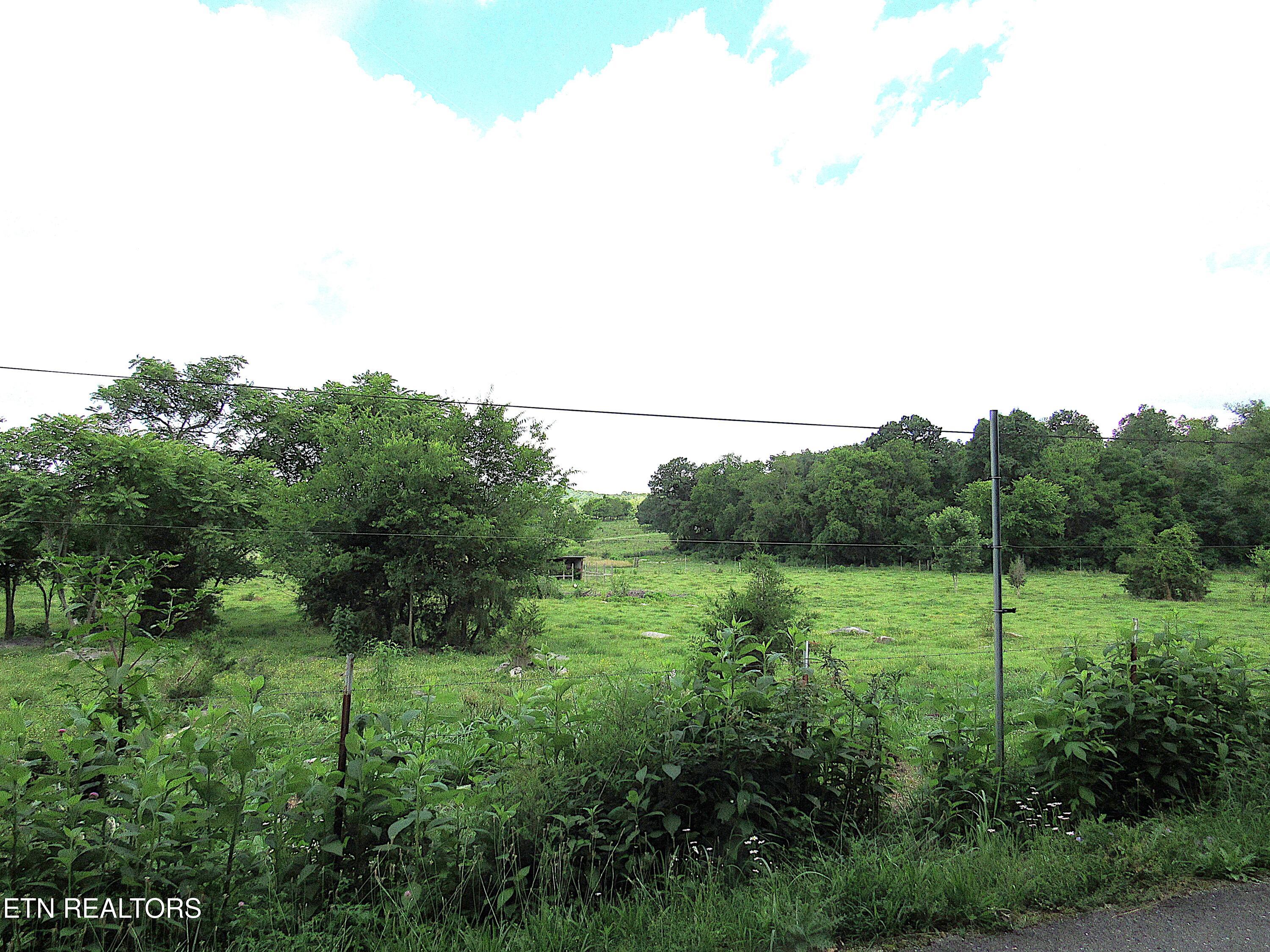 2010 Rocky Valley Rd Property Photo 14
