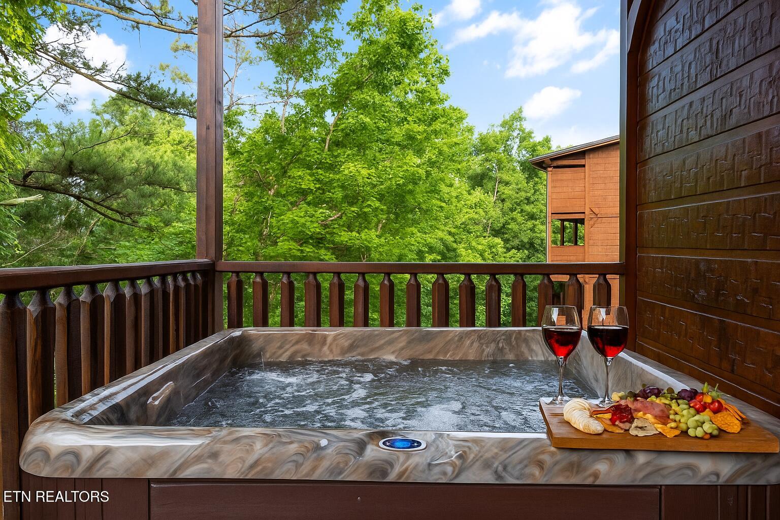 808 Great Smoky Way Property Photo 28