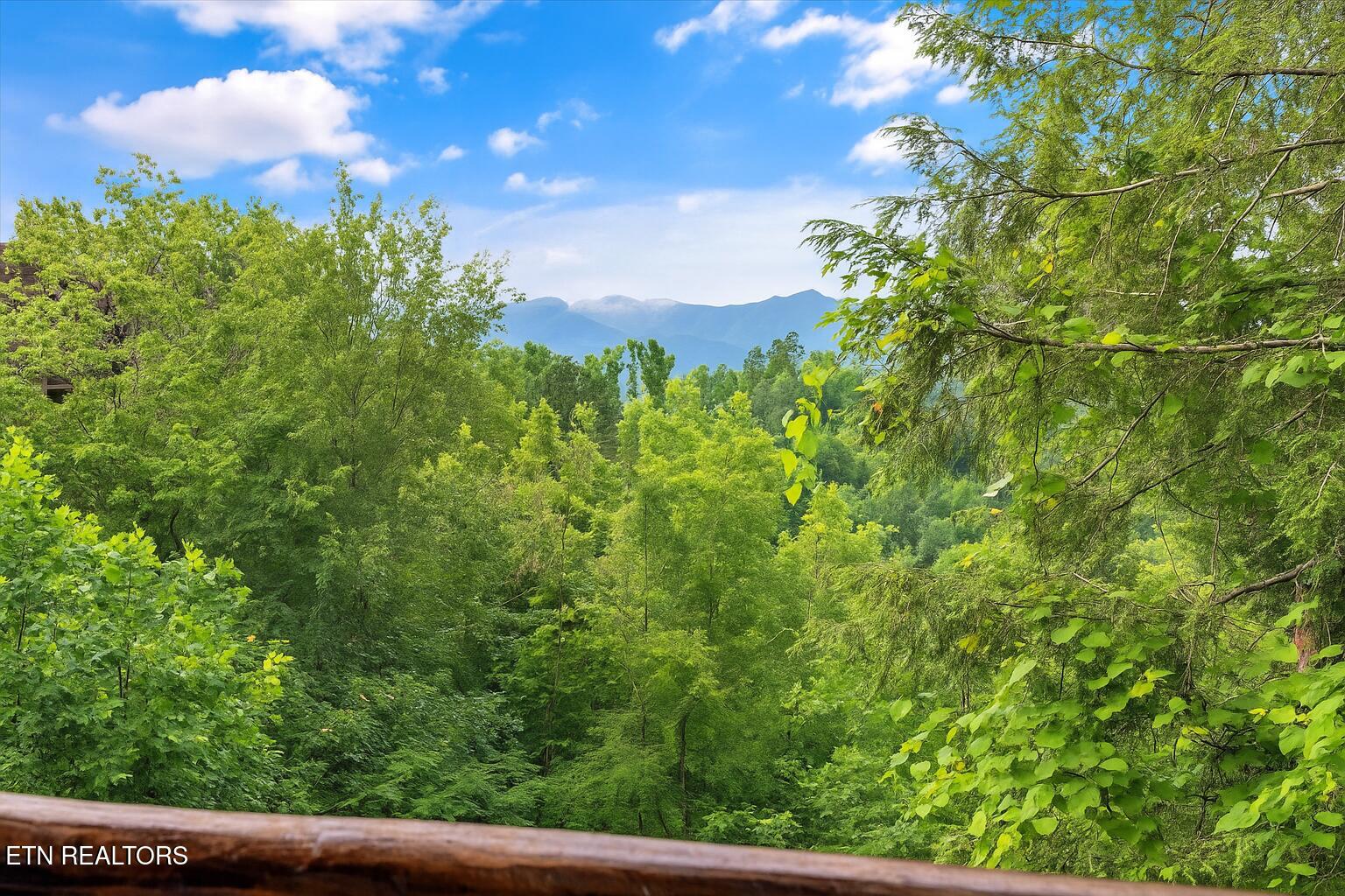 808 Great Smoky Way Property Photo 40