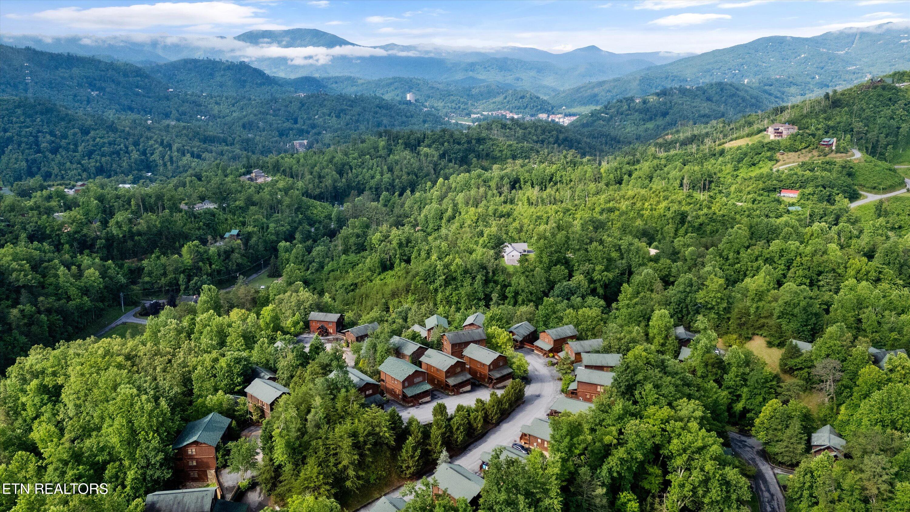 808 Great Smoky Way Property Photo 41