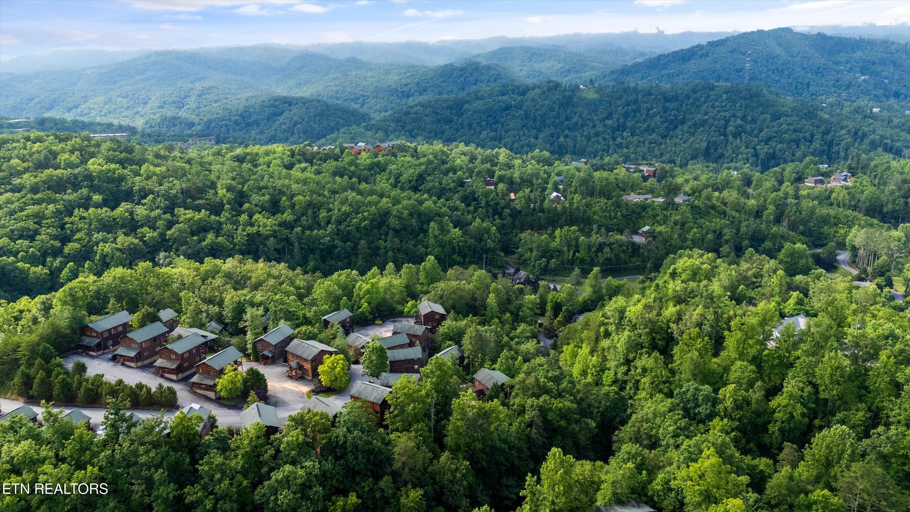 808 Great Smoky Way Property Photo 42