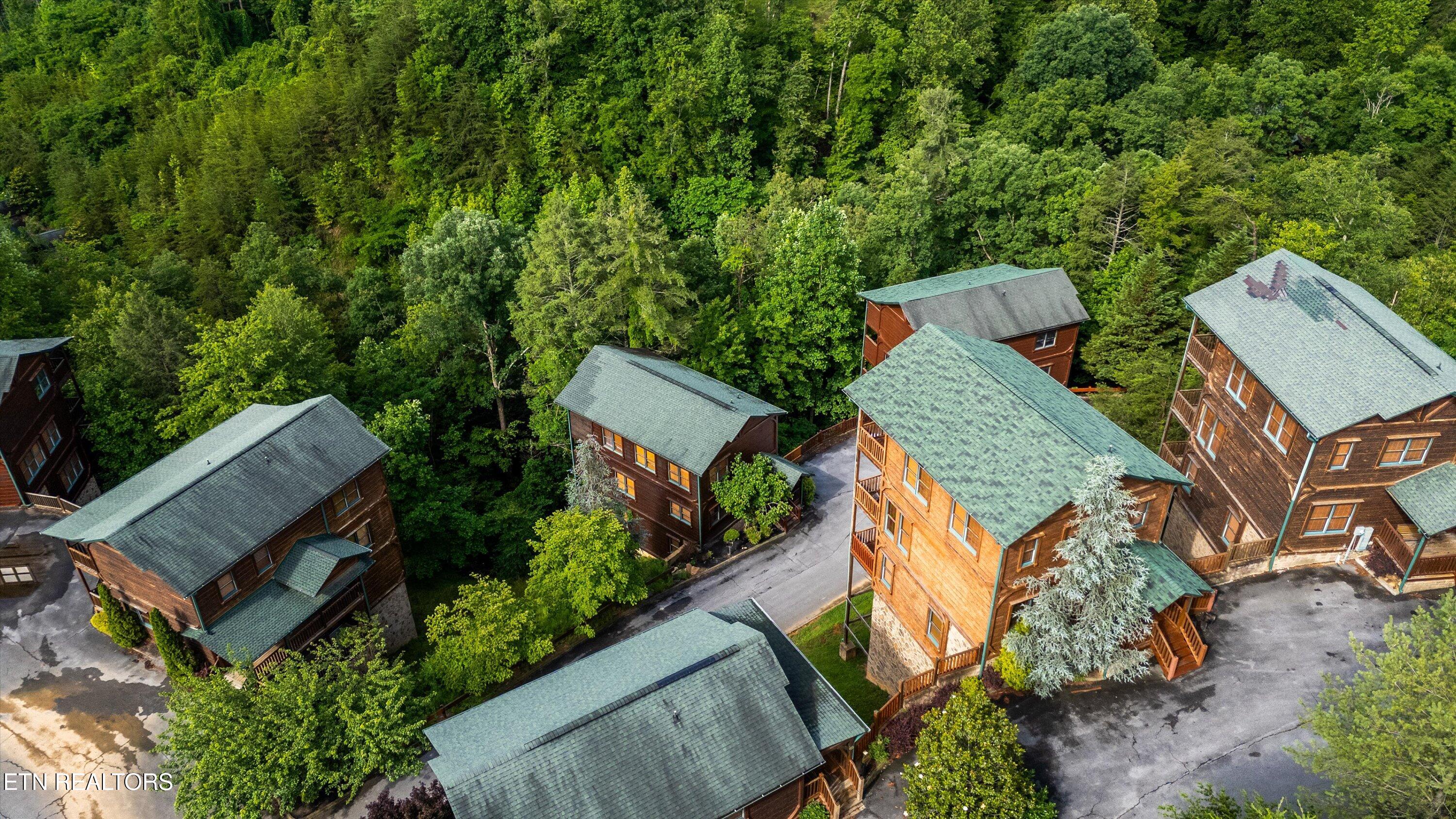 808 Great Smoky Way Property Photo 46