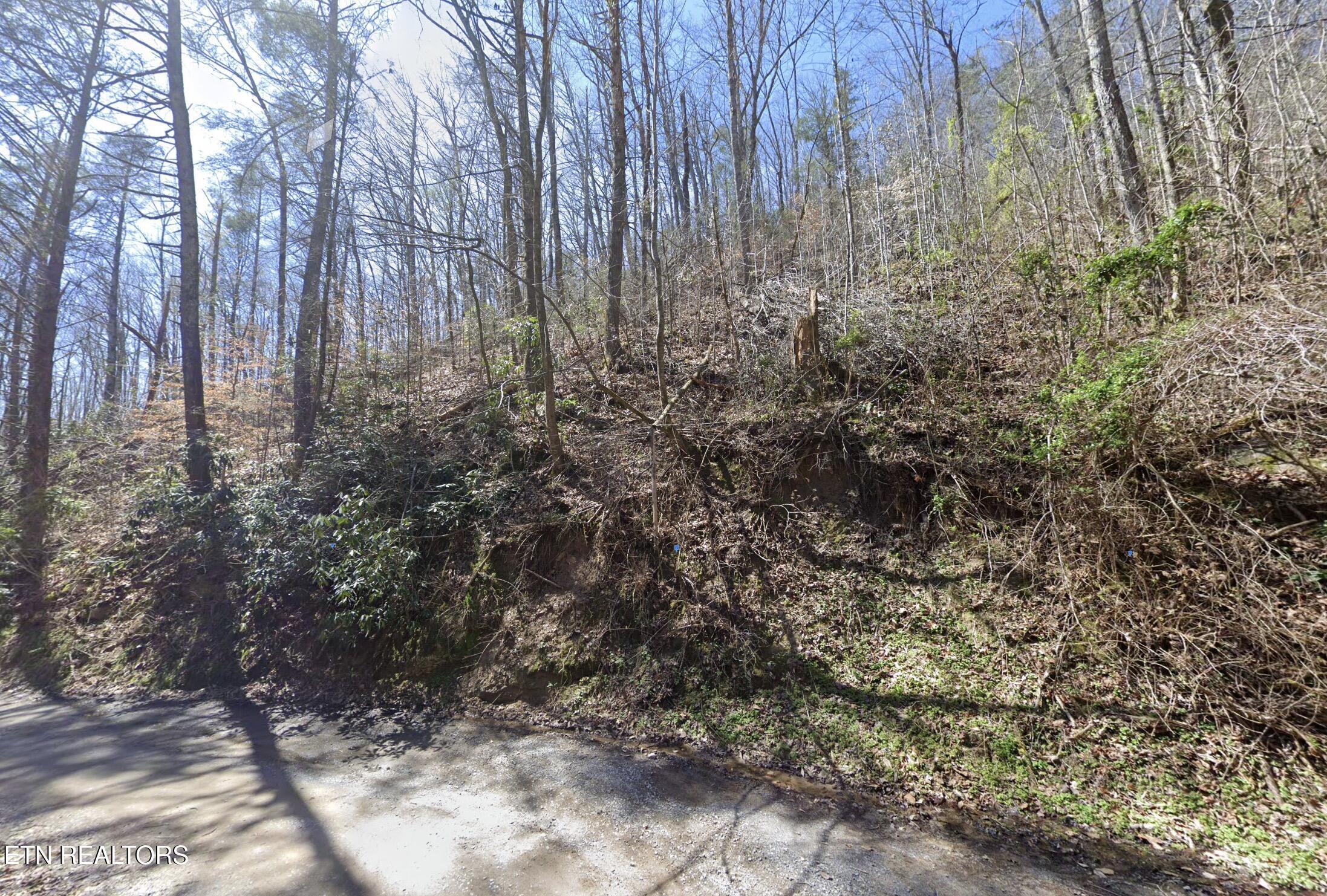 910 Ditney Way Property Photo 2