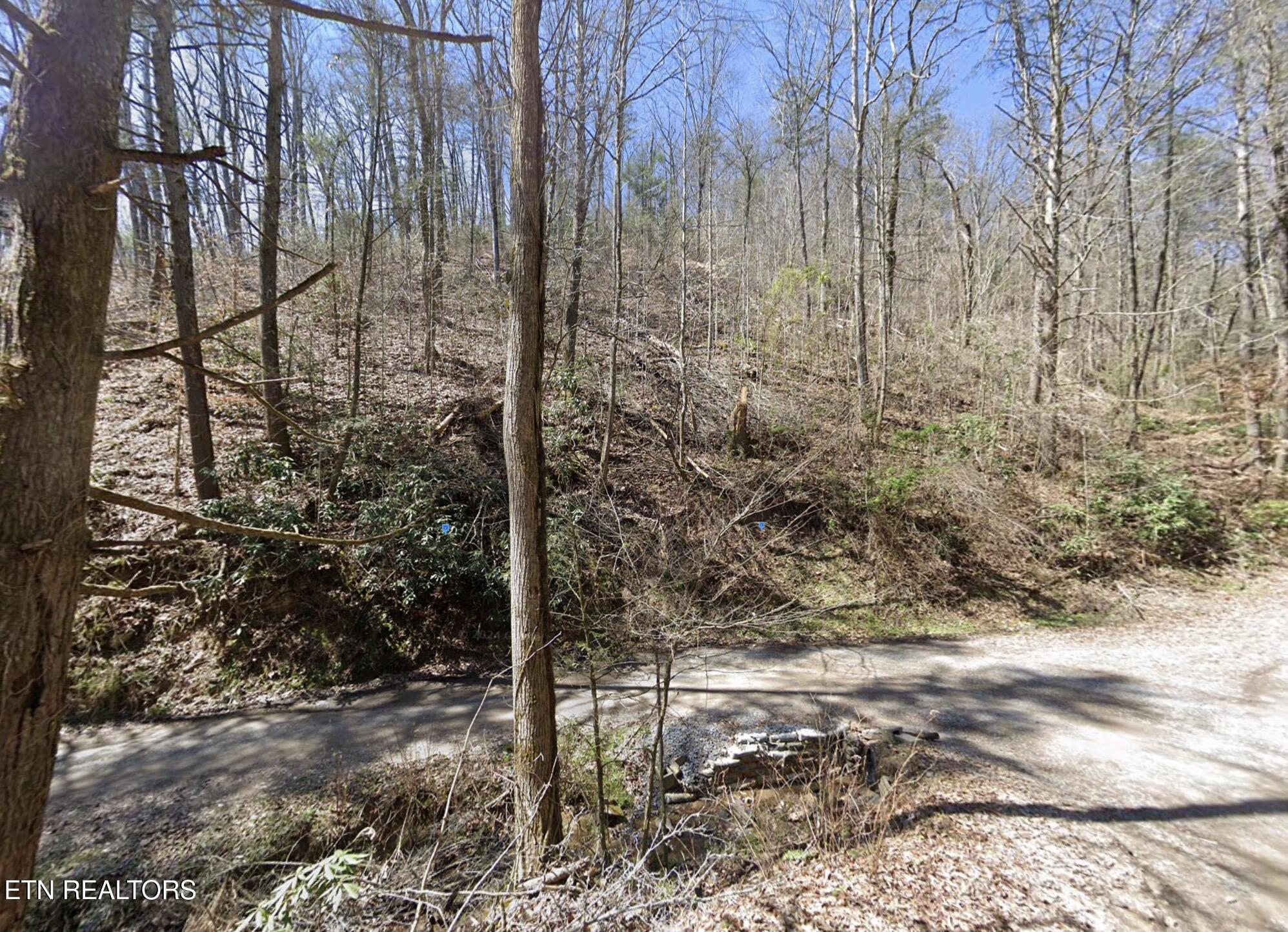 910 Ditney Way Property Photo 3