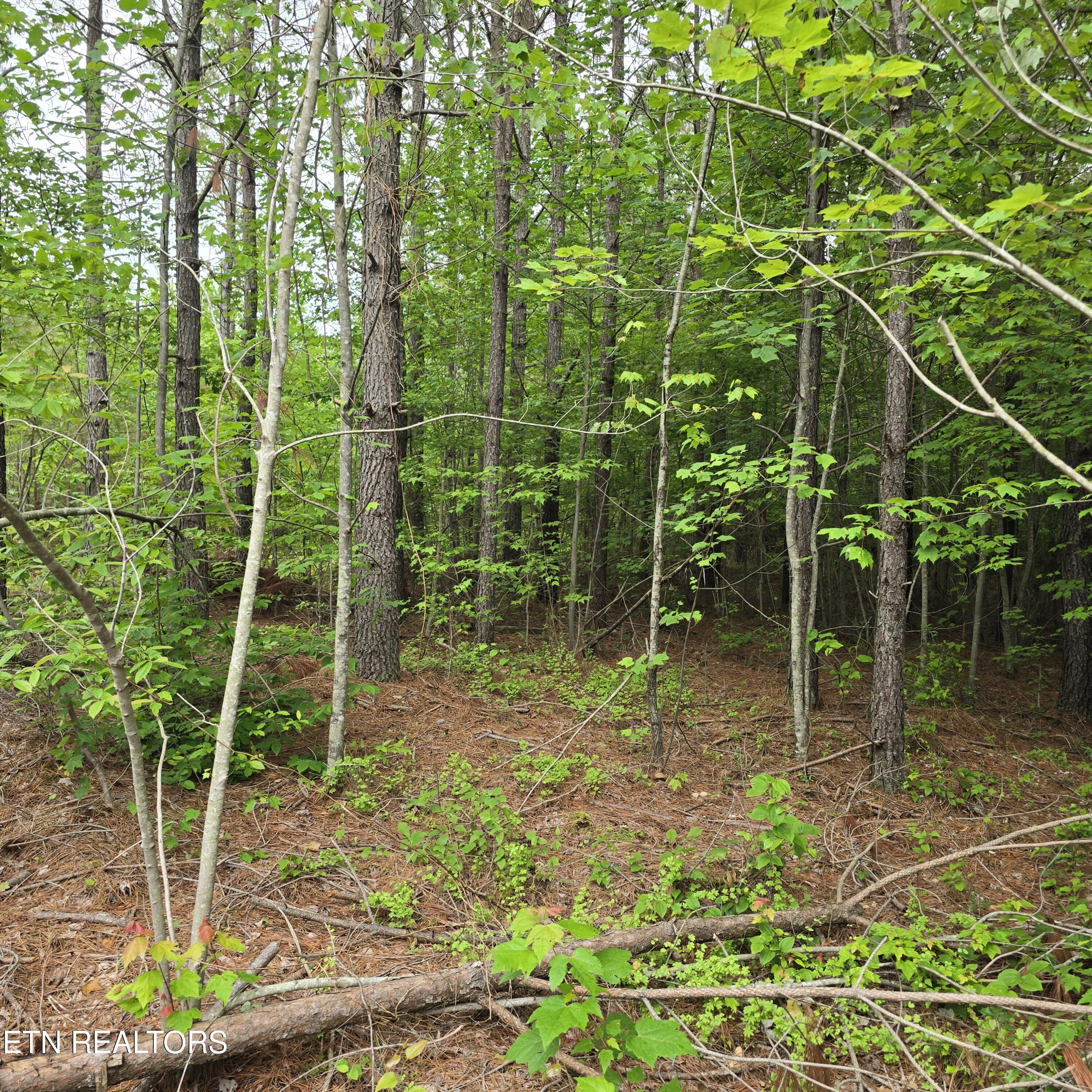 Lot 14 Holly Woods Property Photo 1