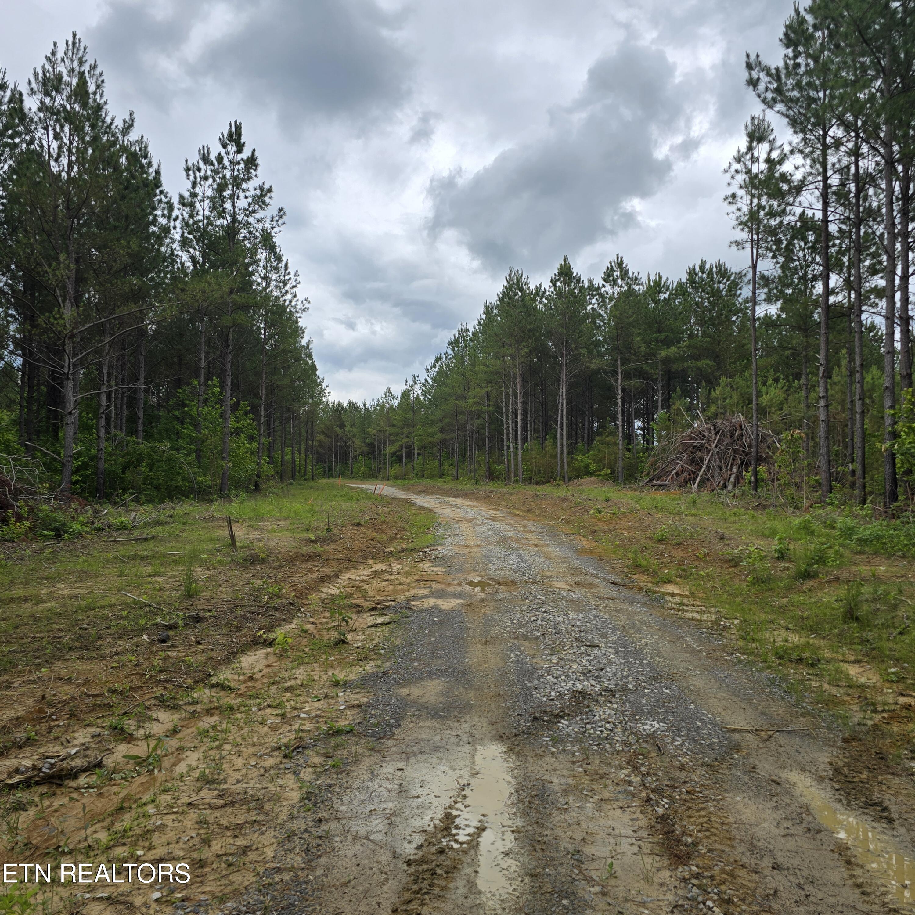 Lot 15 Holly Woods Property Photo 1