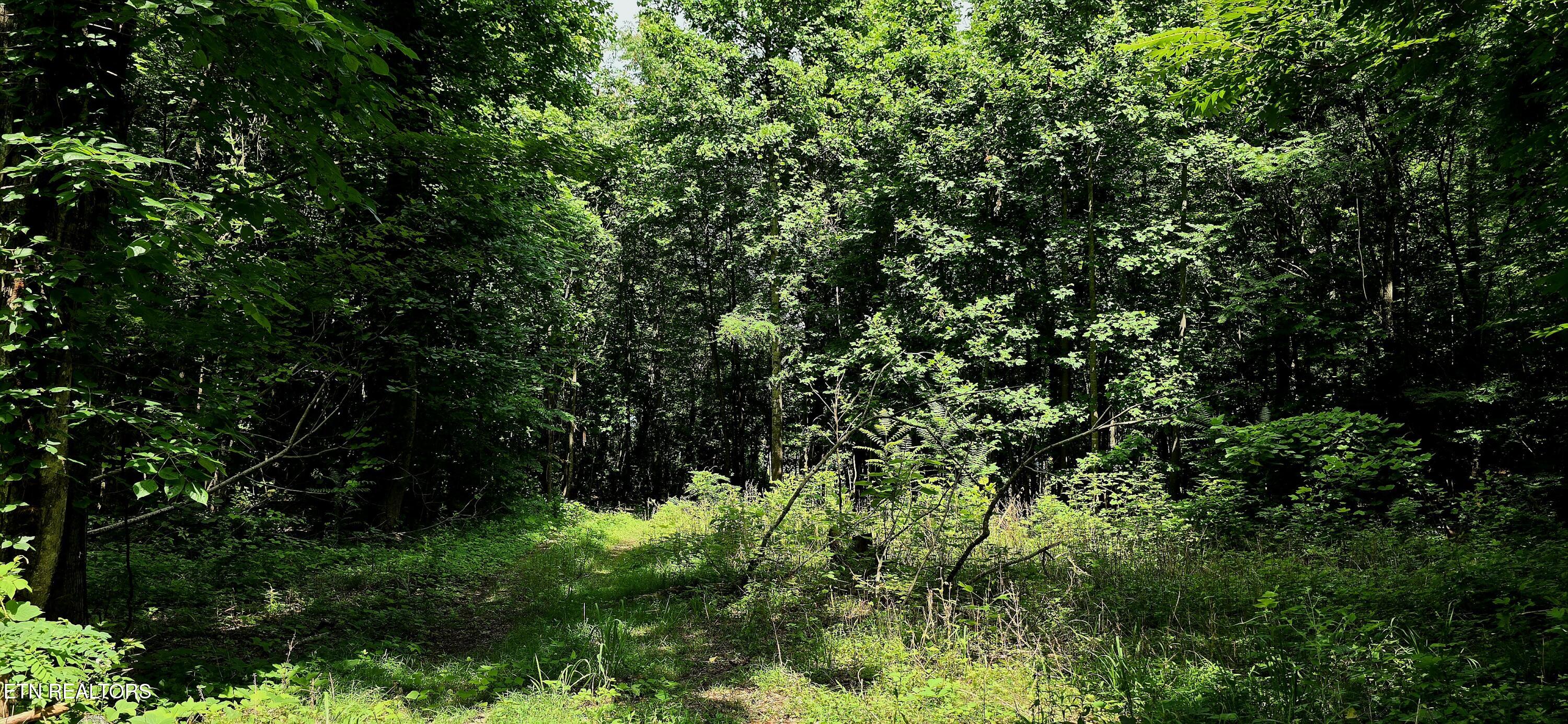 1580 Restful Way Property Photo 5