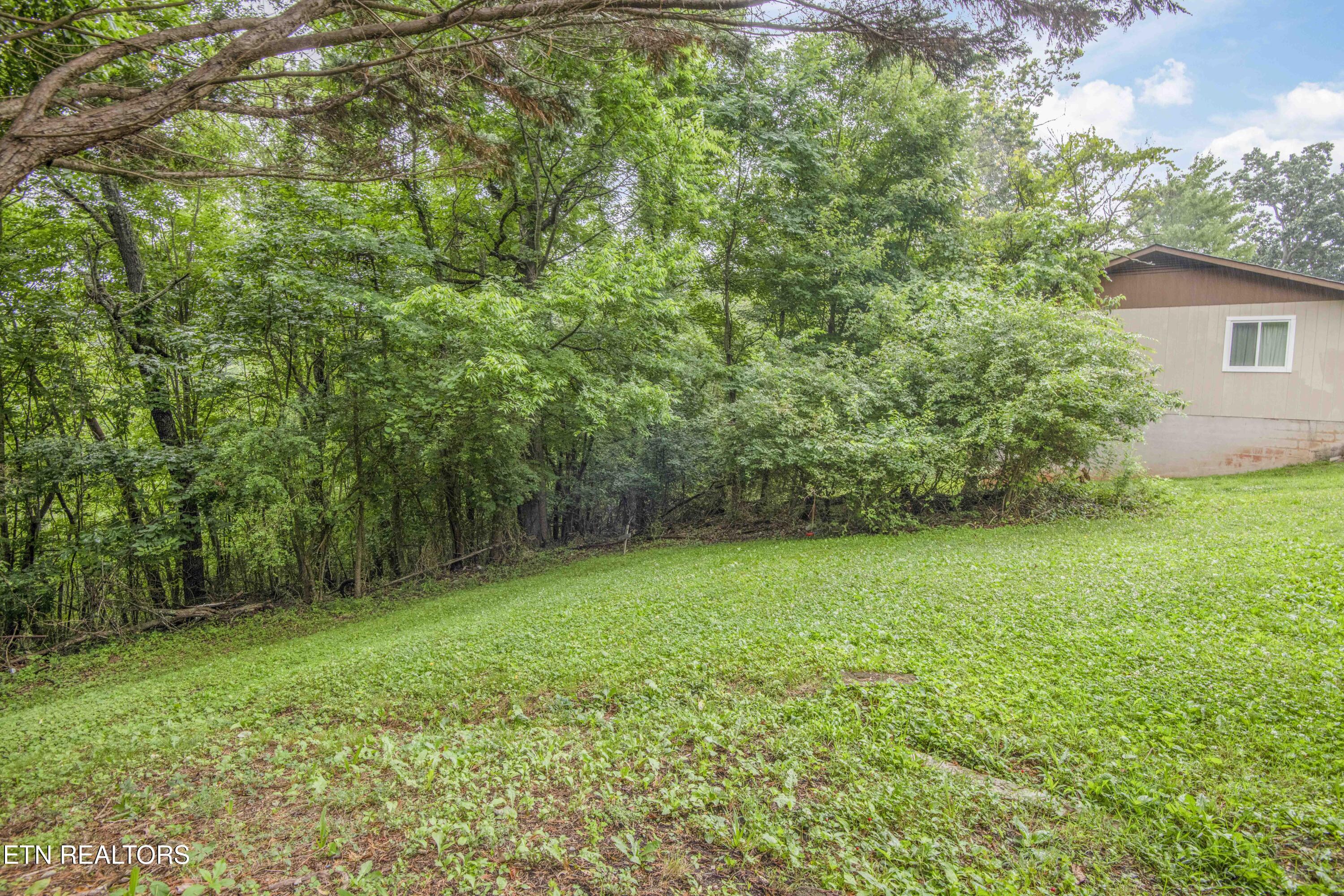 817 W Ridgecrest Drive Property Photo 43