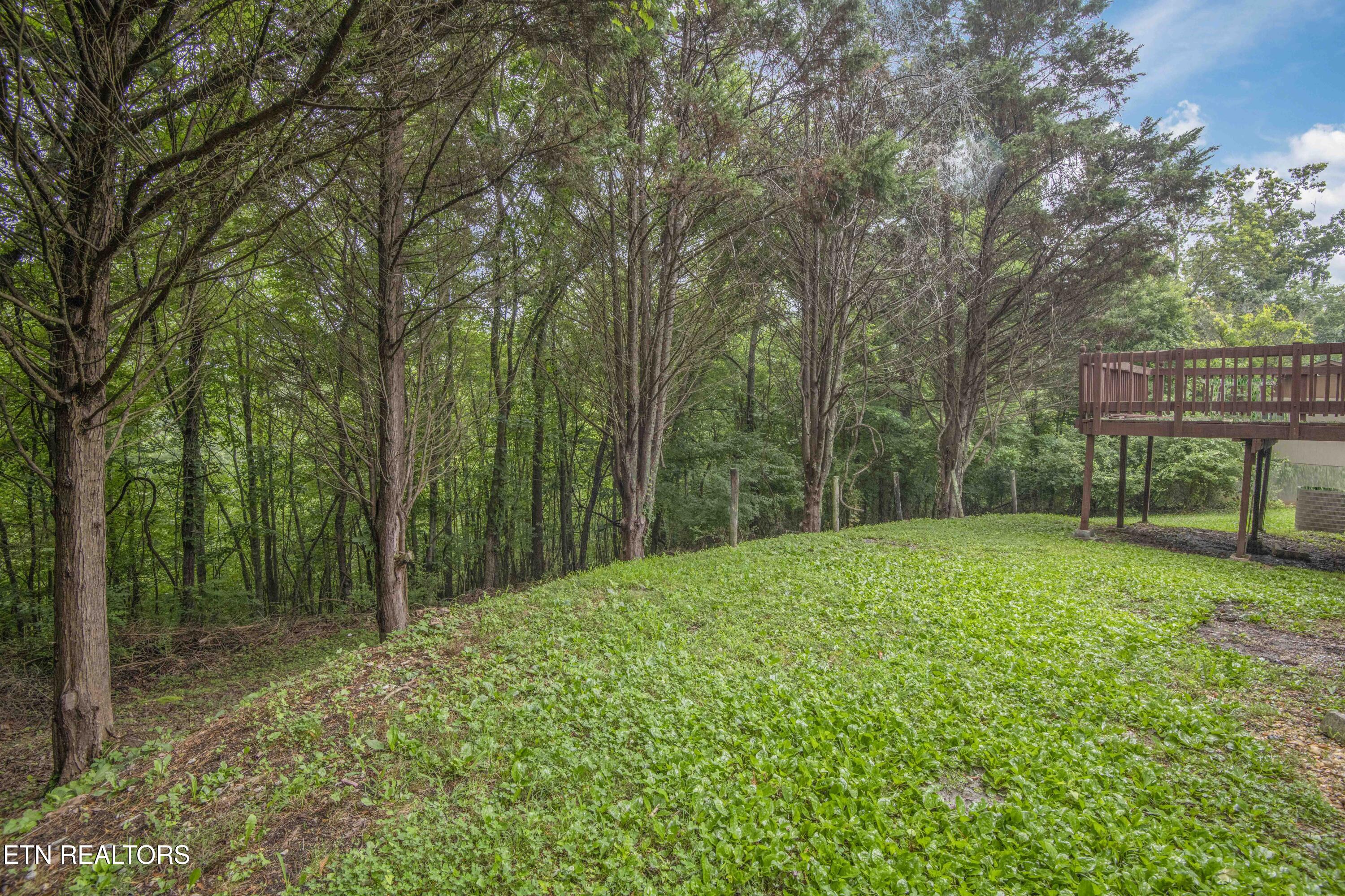 817 W Ridgecrest Drive Property Photo 47