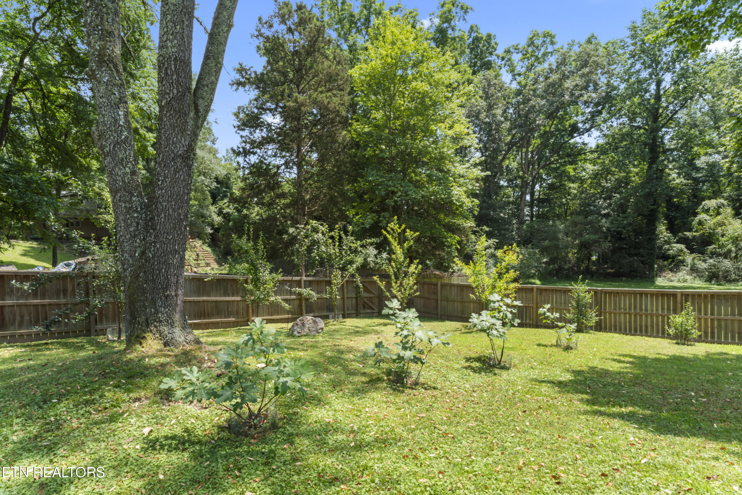 111 Mohawk Rd Property Photo 36