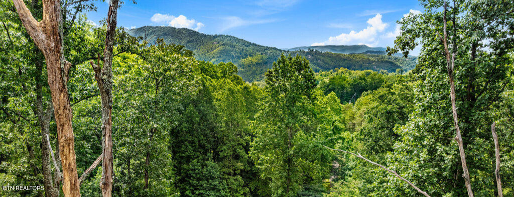 E Kings Ridge Rd Property Photo