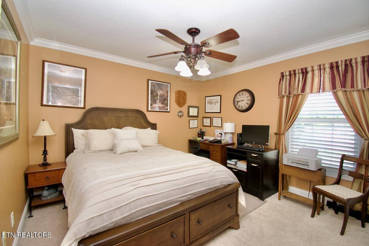 1138 Disco Loop Rd Property Photo 29