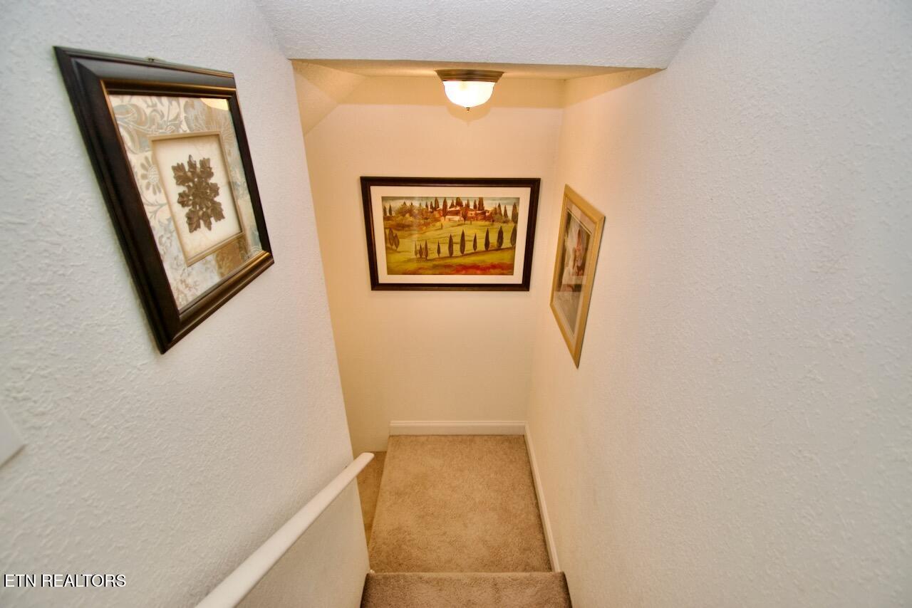 1138 Disco Loop Rd Property Photo 30