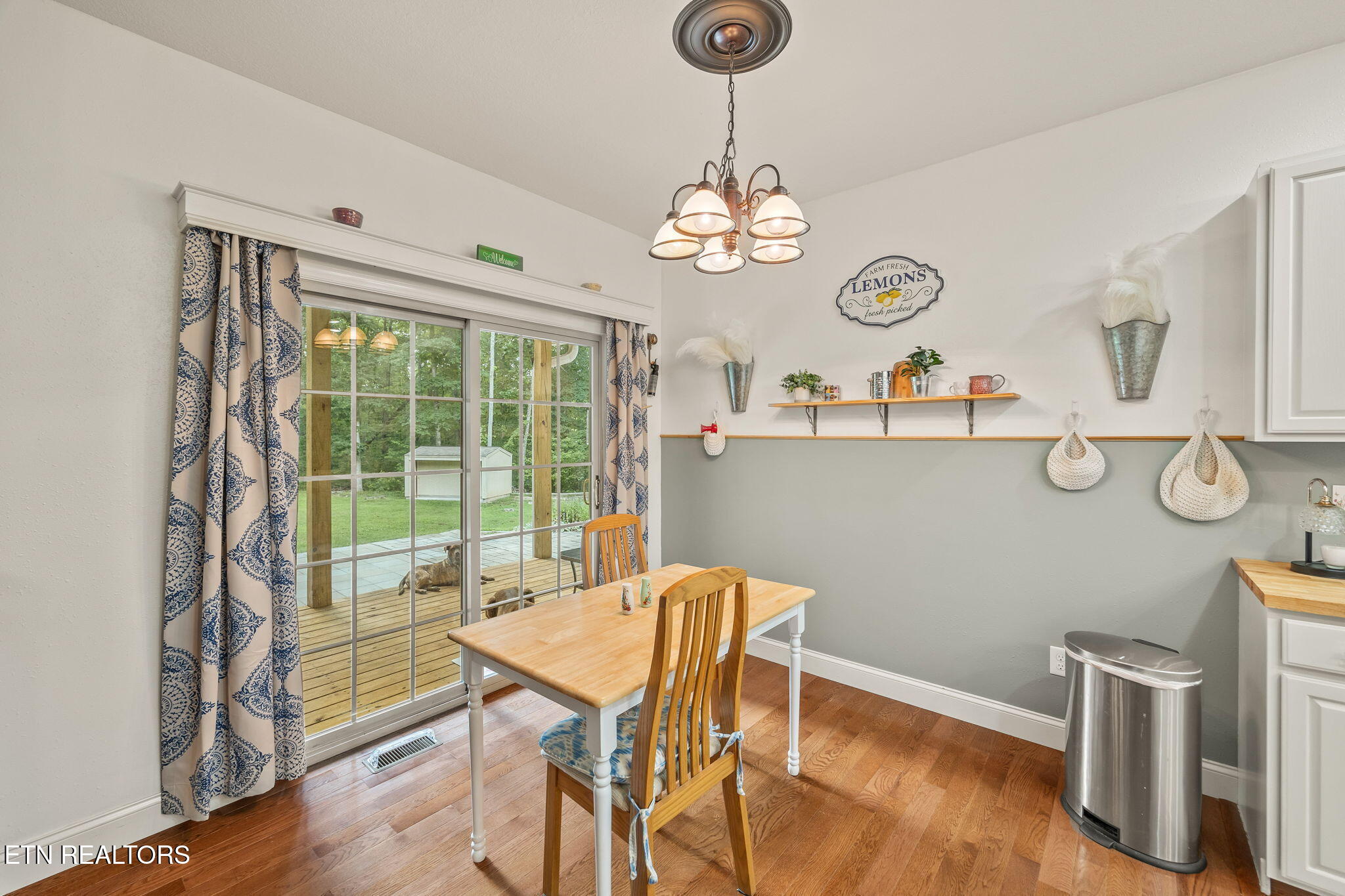 11 Burton Terrace Property Photo 19