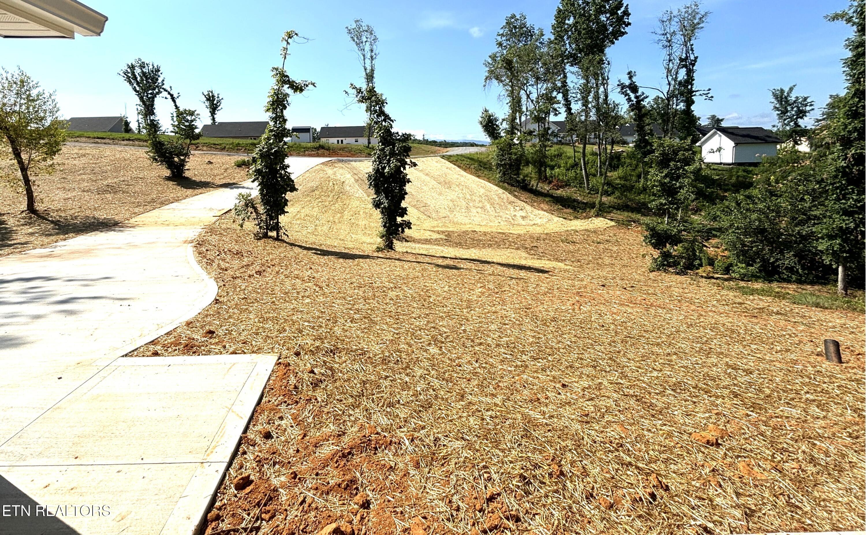 112 Little Donnie Way Property Photo 5