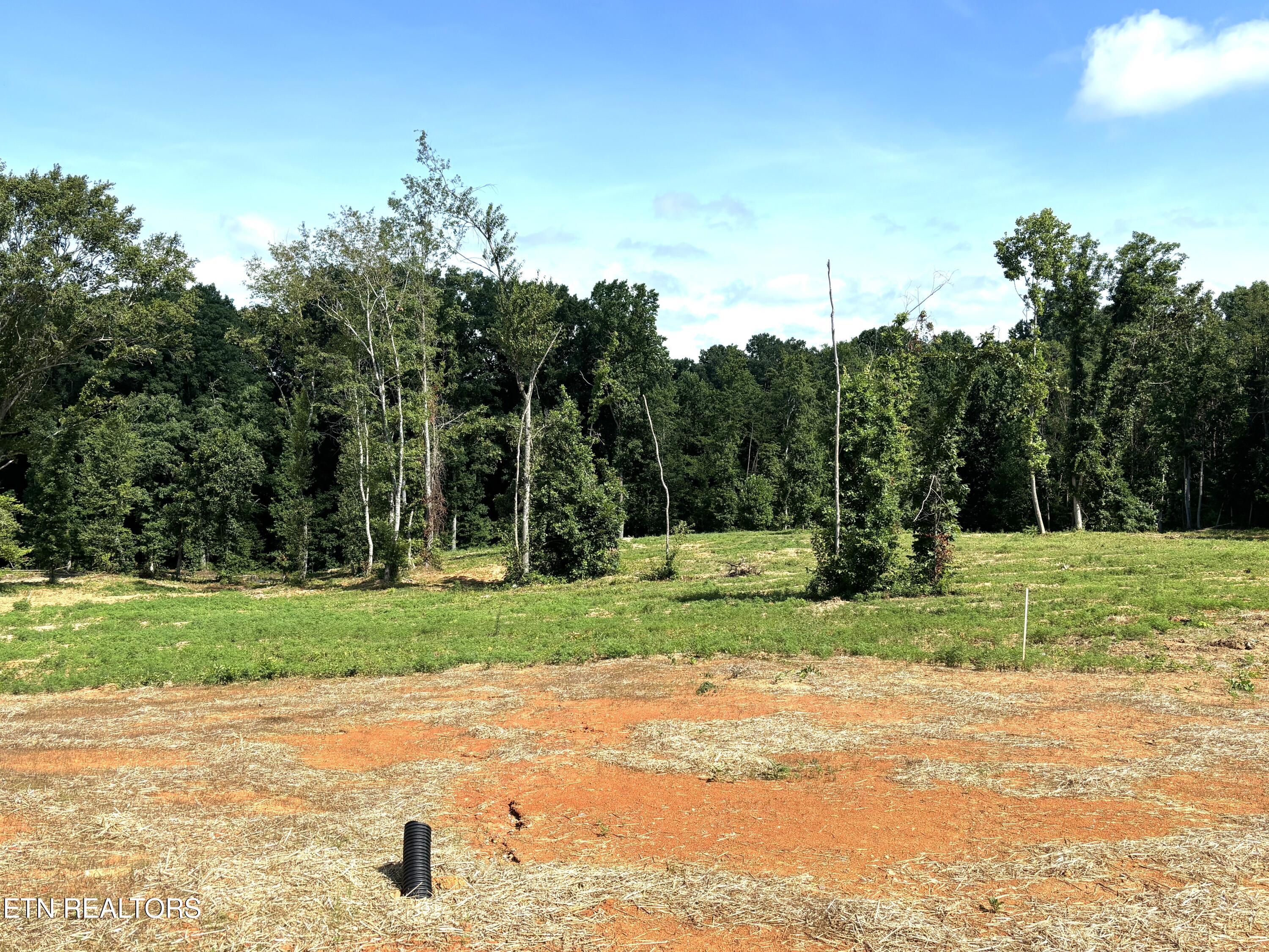 124 Little Donnie Way Property Photo 12