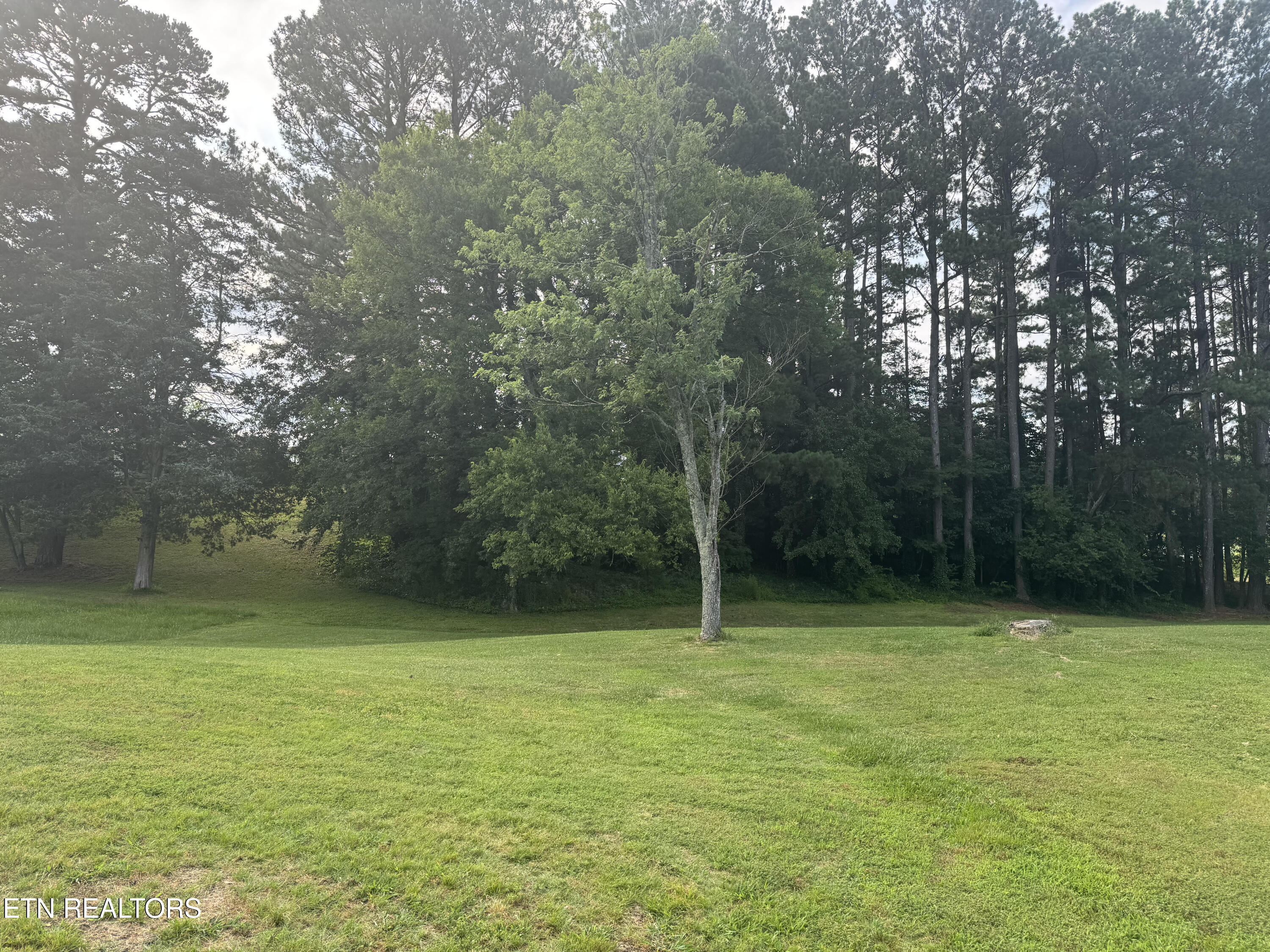 123 Jerry Cardin Lane Property Photo 2