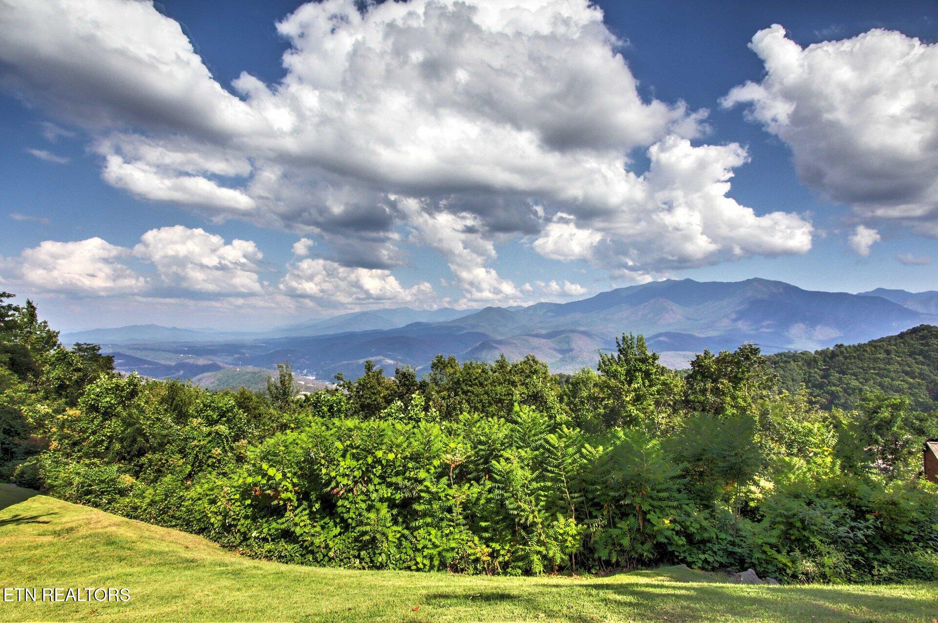 1260 Ski View Drive Property Photo 32