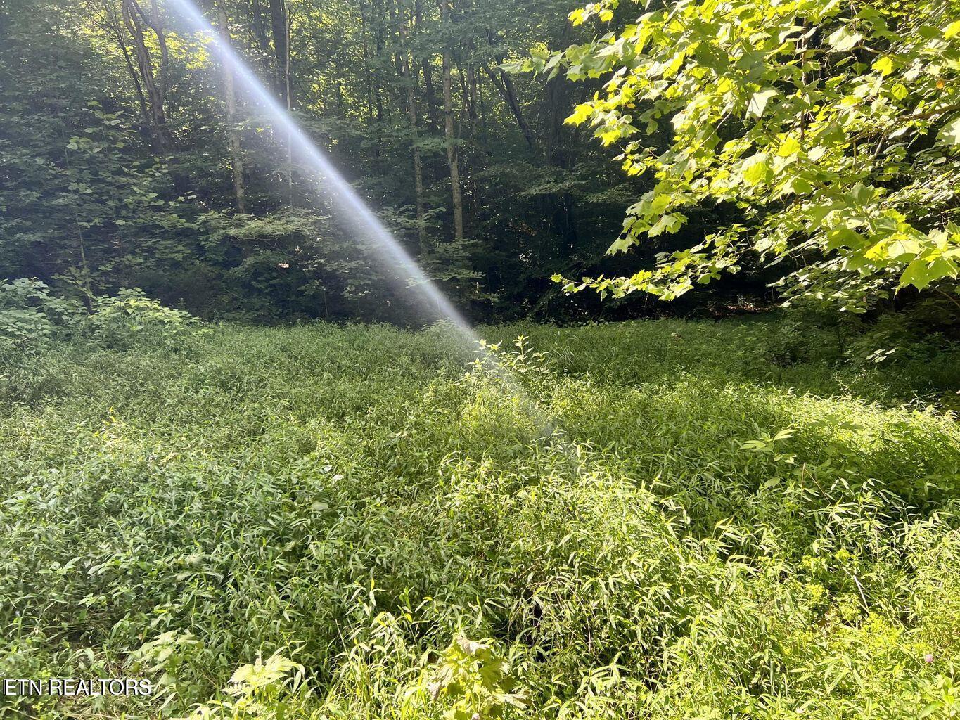 00 Jackson Ridge Rd Property Photo 1