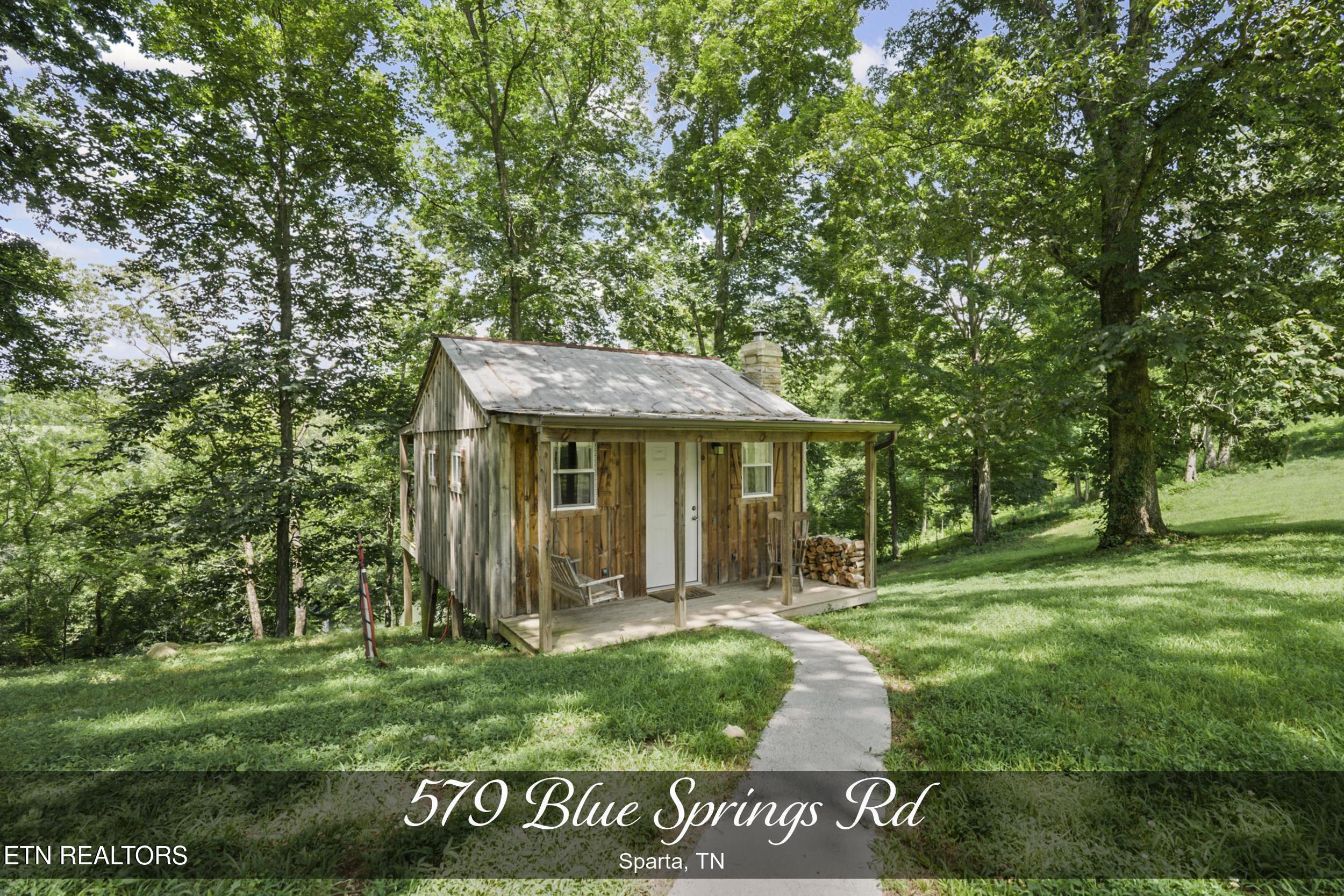 579 Blue Springs Rd Property Photo 1