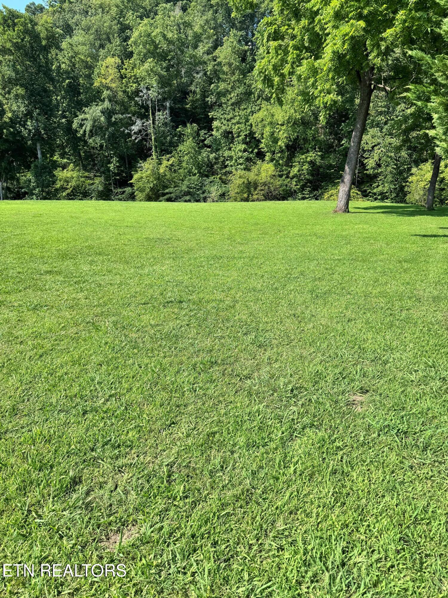 River Bank Rd Property Photo 1