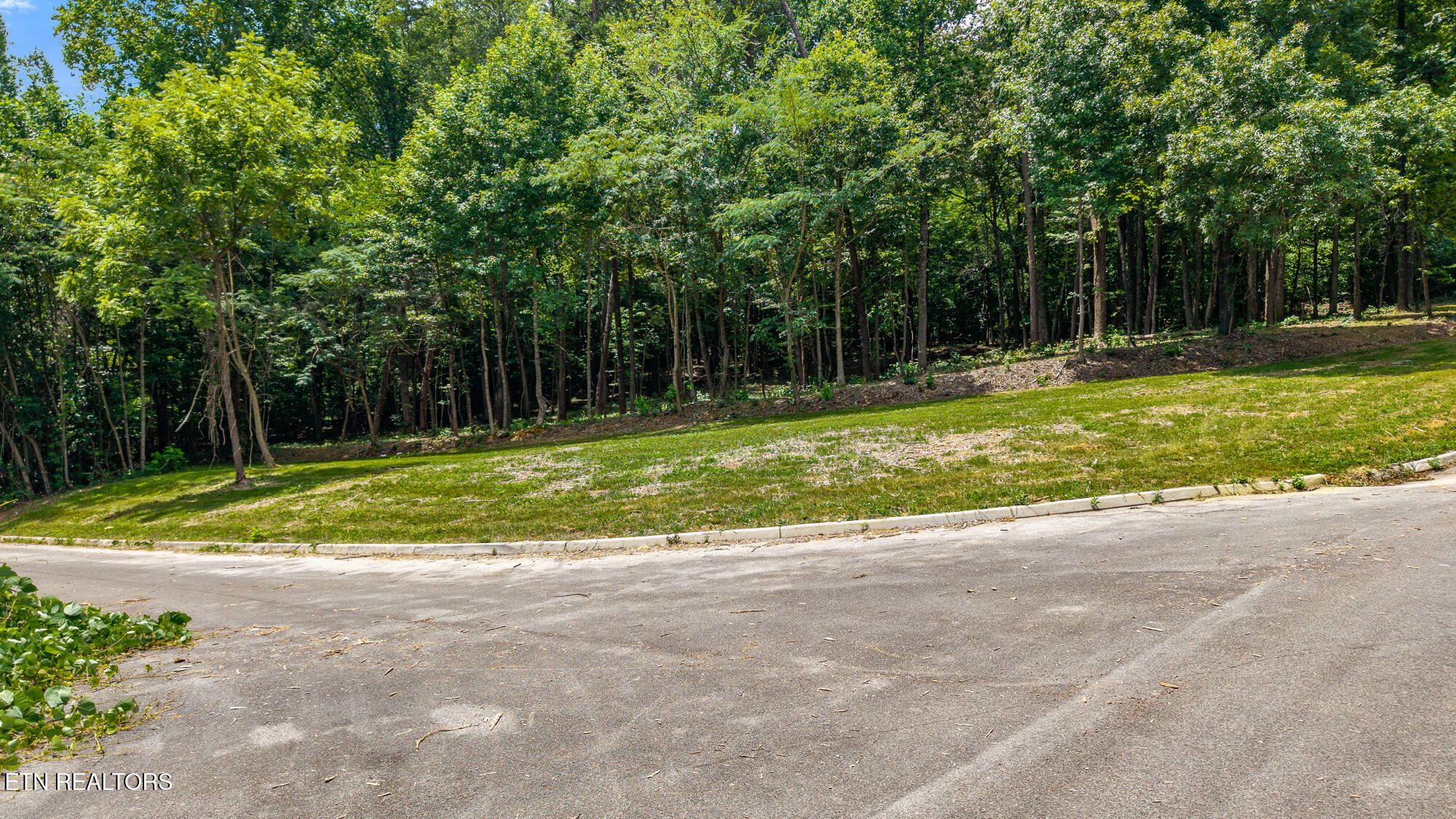 00 Lot 41 Poplar Drive Property Photo