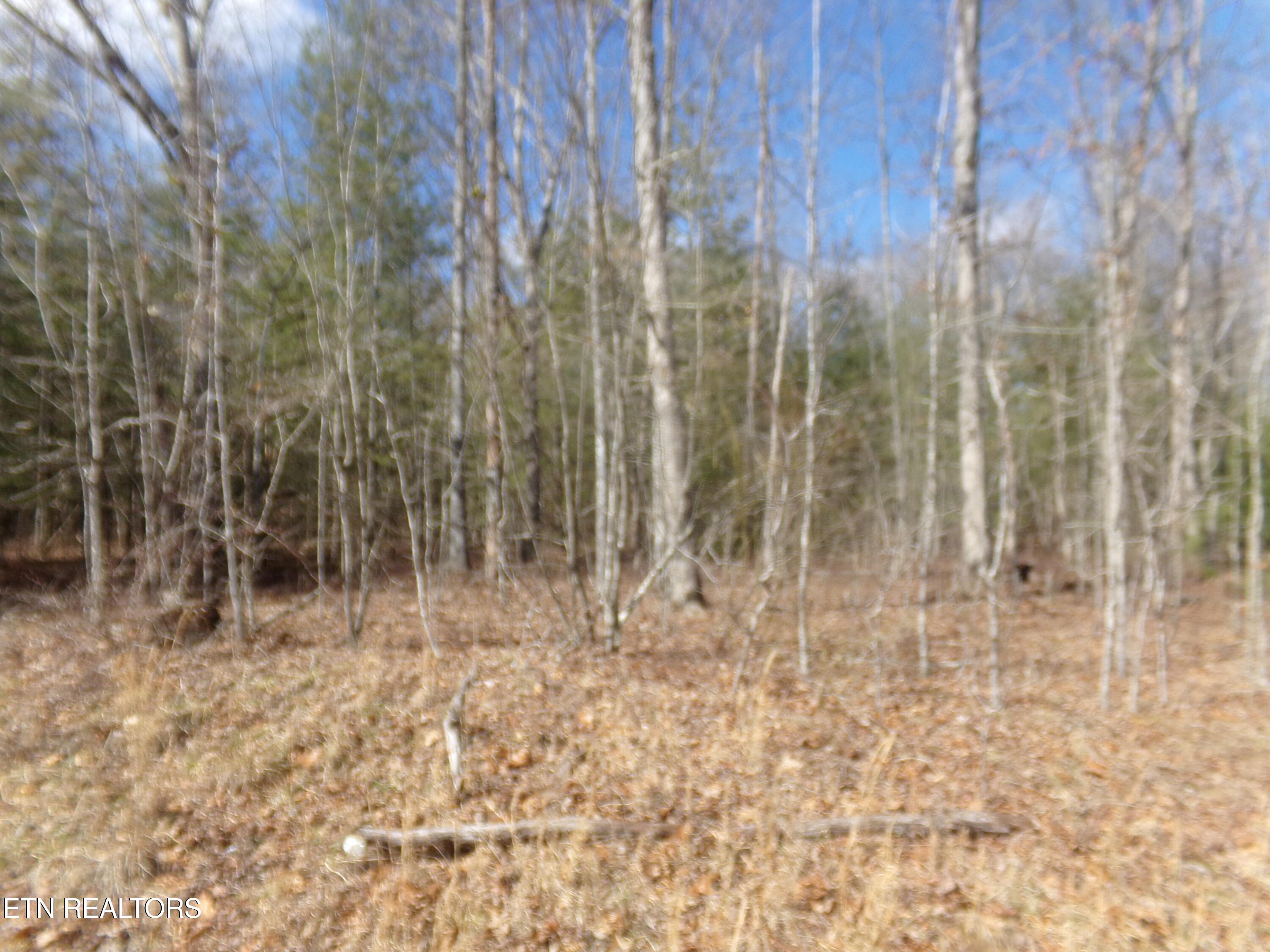 900 Paola Drive Property Photo 1