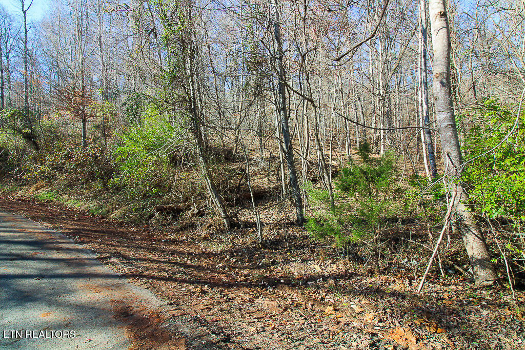 Lot 421 Mystic Star Drive Property Photo 1