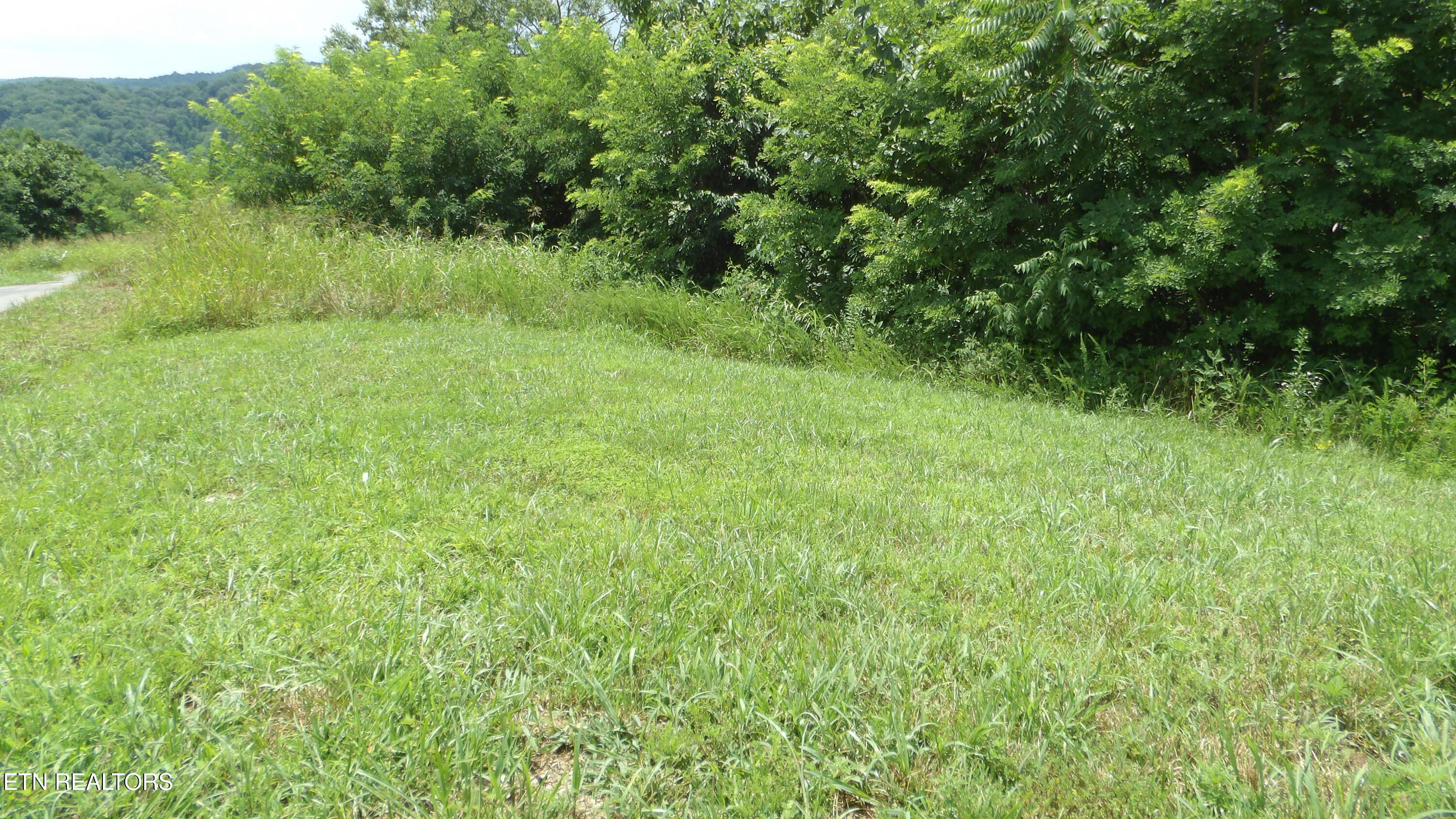 Lot 17d Crappie Lane Property Photo 1