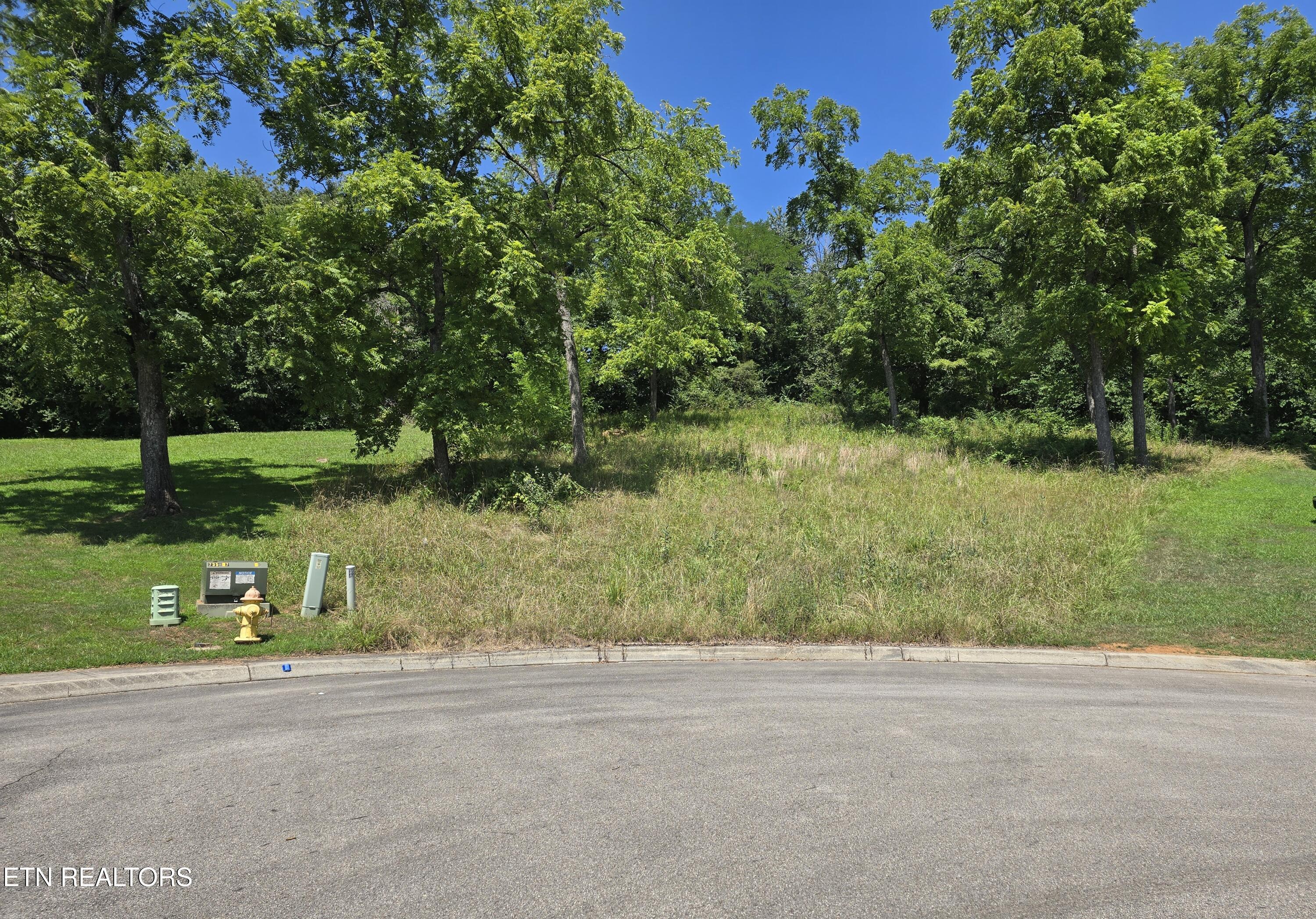 Morningside Lane Property Photo 1