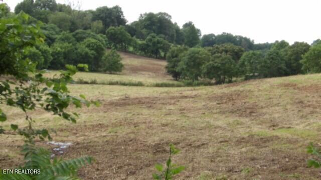 105 Log Home Lane Property Photo 1