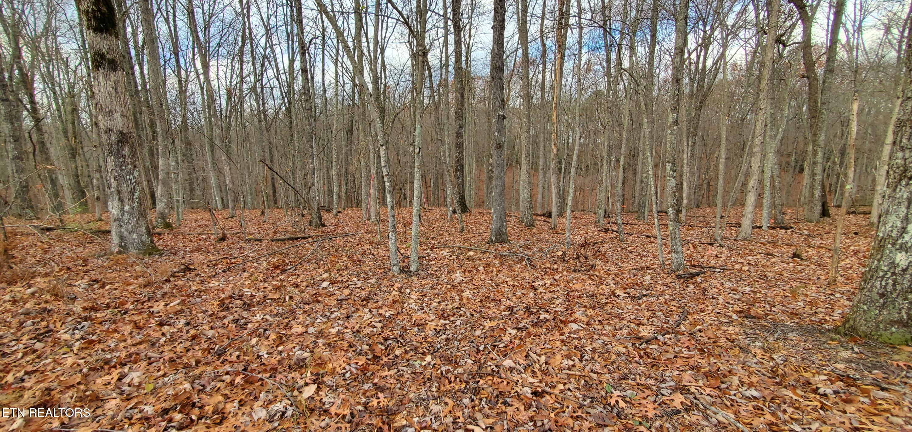 Burks Place Property Photo 1
