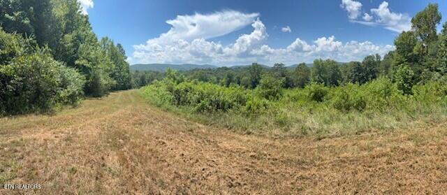 Old Harriman Hwy Property Photo