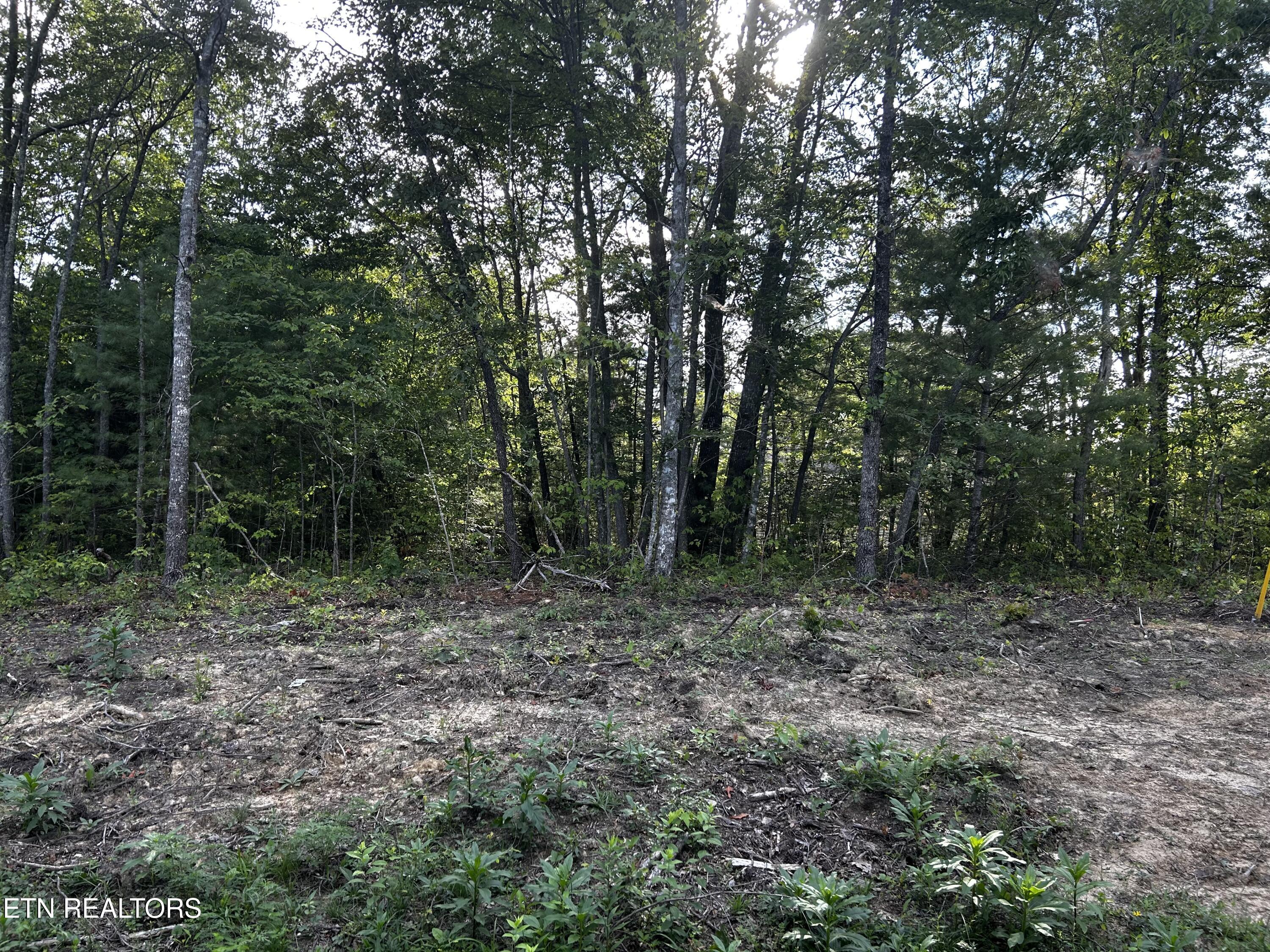 104 Wimberly Rd Property Photo 1
