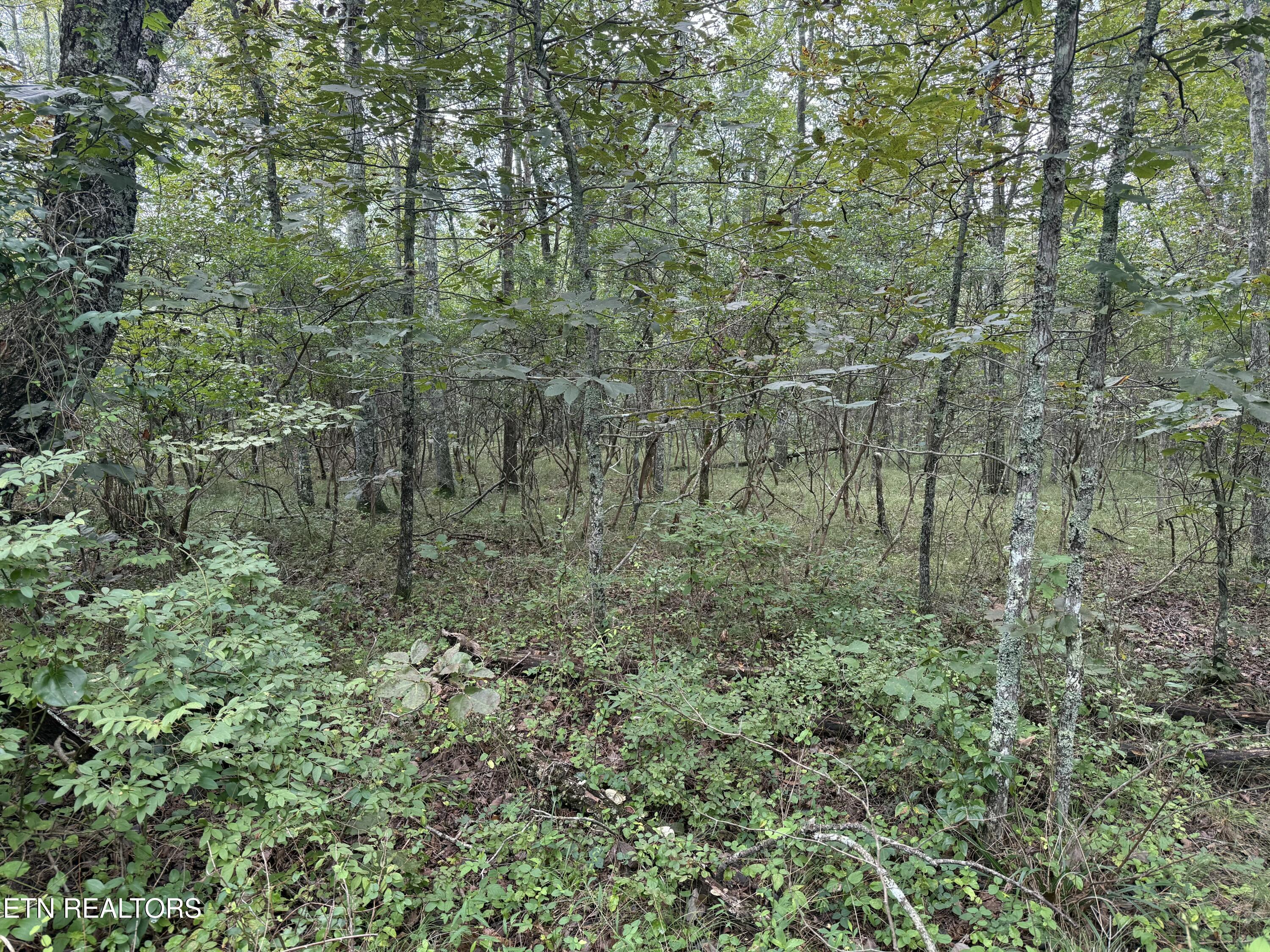 130 Blackburn Drive Property Photo 1