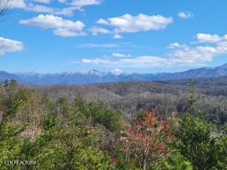 Red Bone Way Property Photo 1