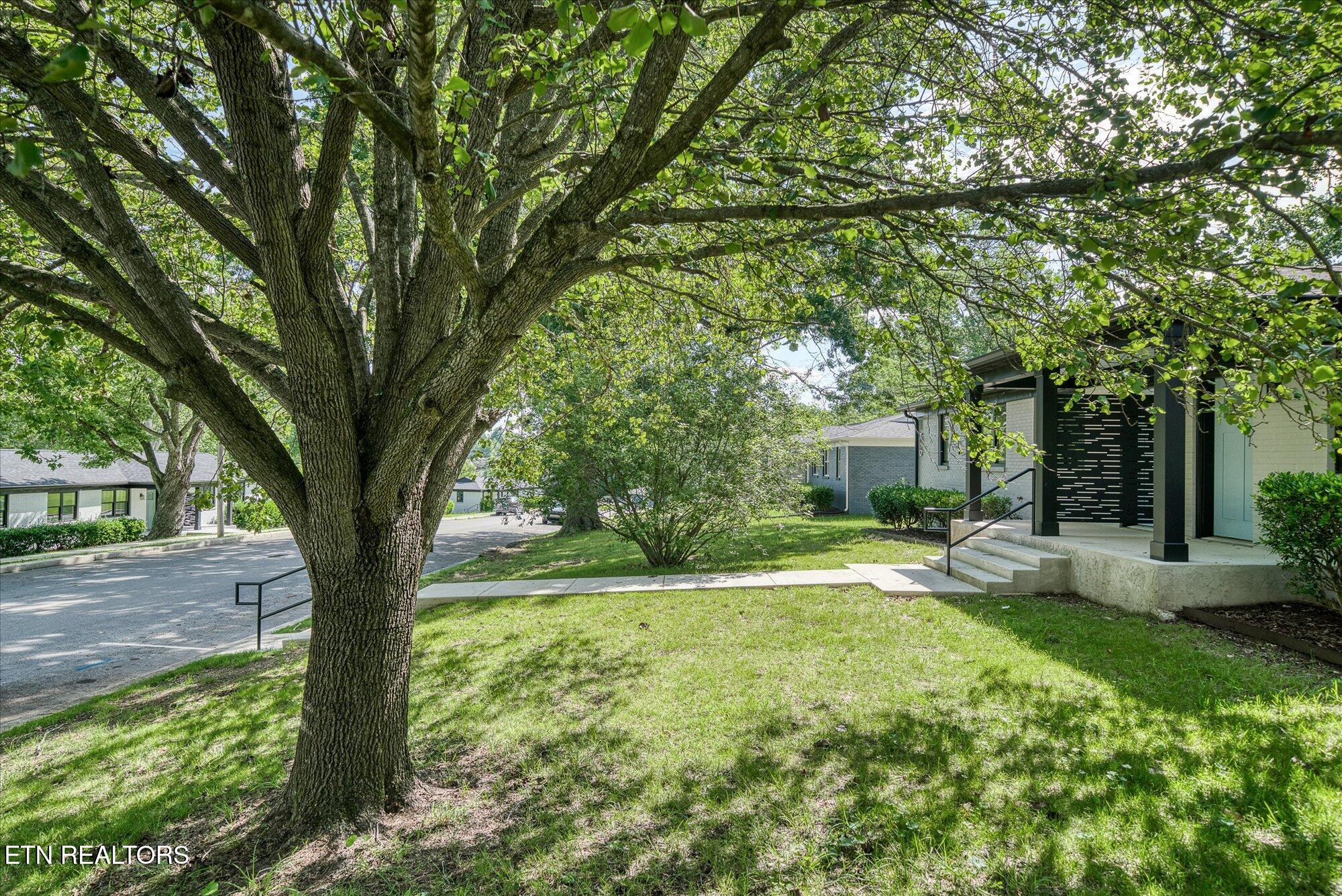 136 & 138 Boatman Street Property Photo 33