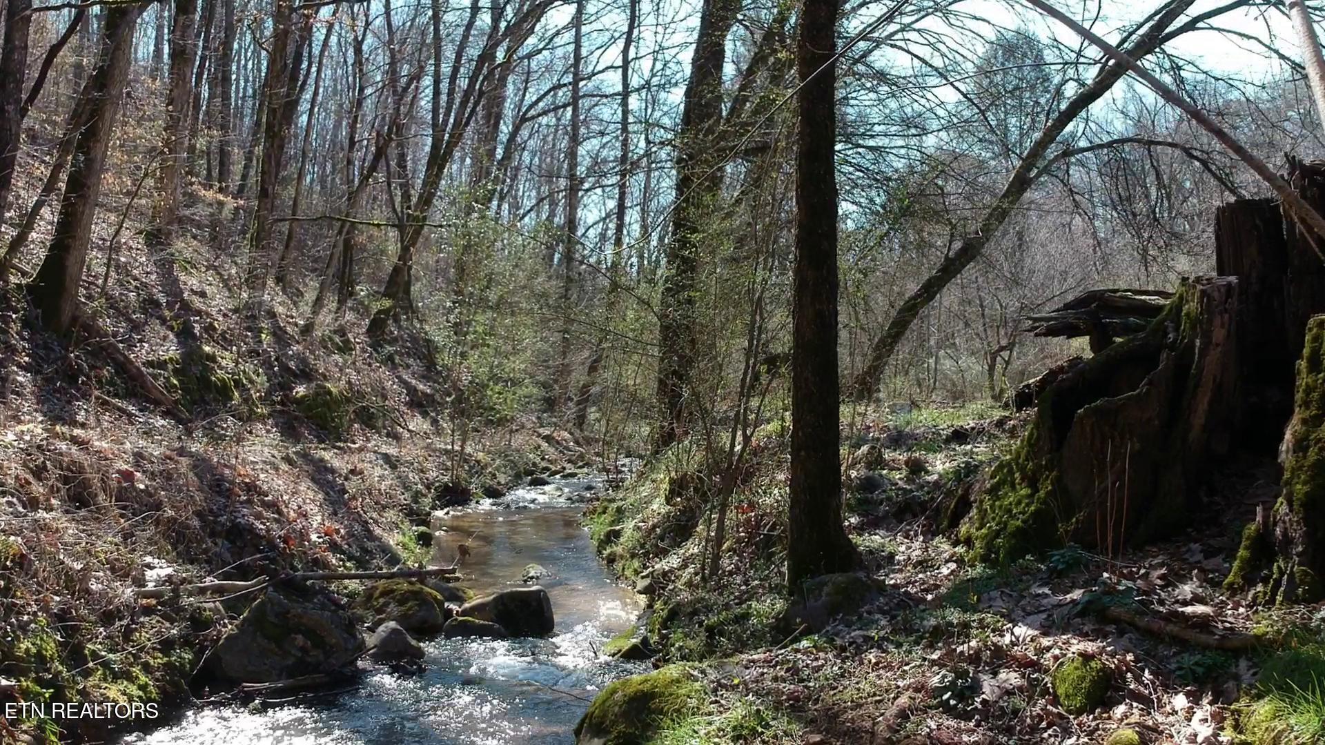 269 Mountain Mist Lane Property Photo 10