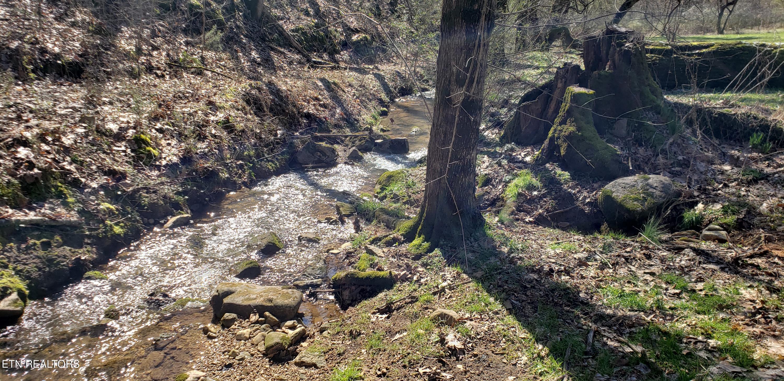 269 Mountain Mist Lane Property Photo 11