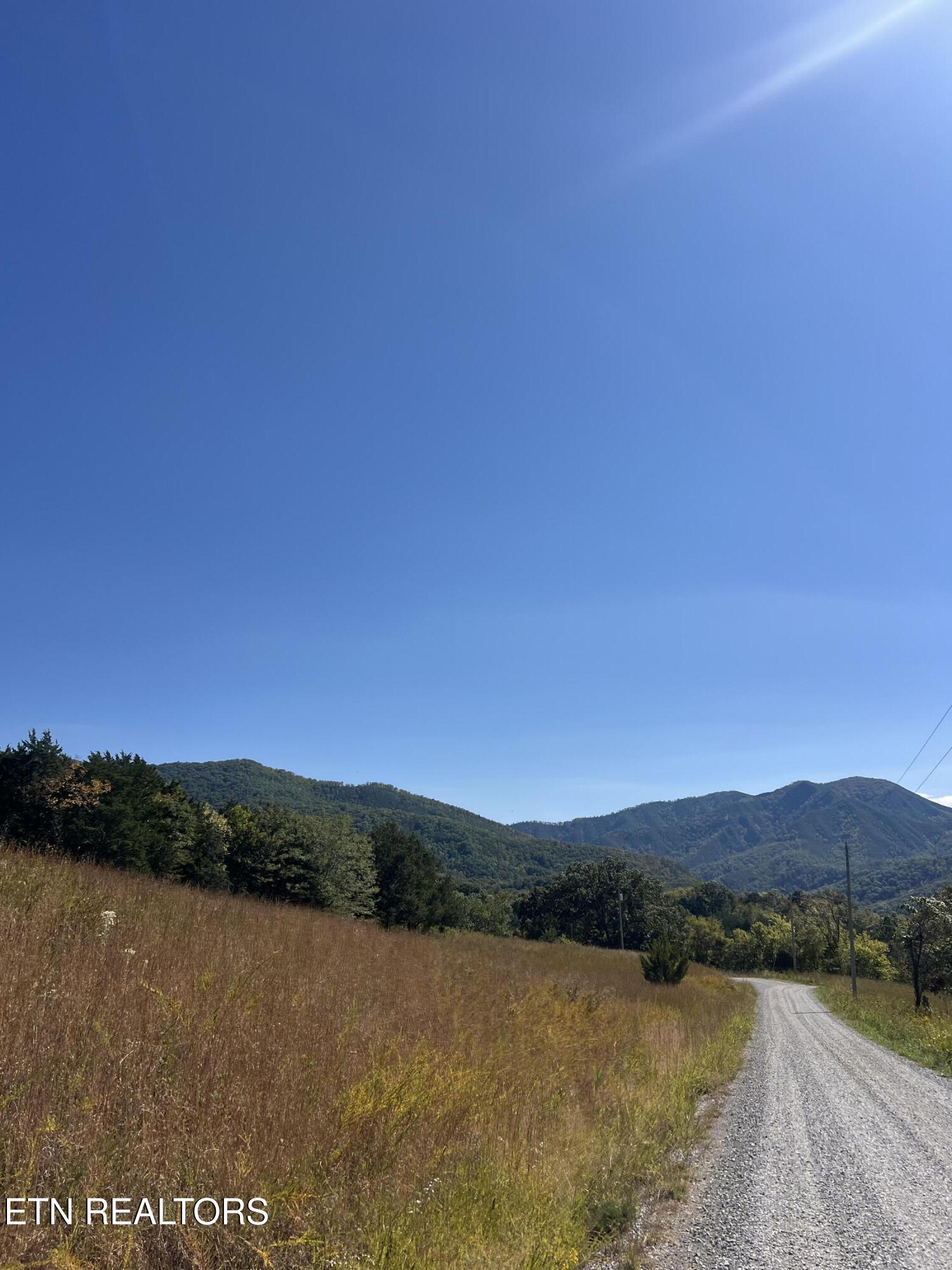 269 Mountain Mist Lane Property Photo 12