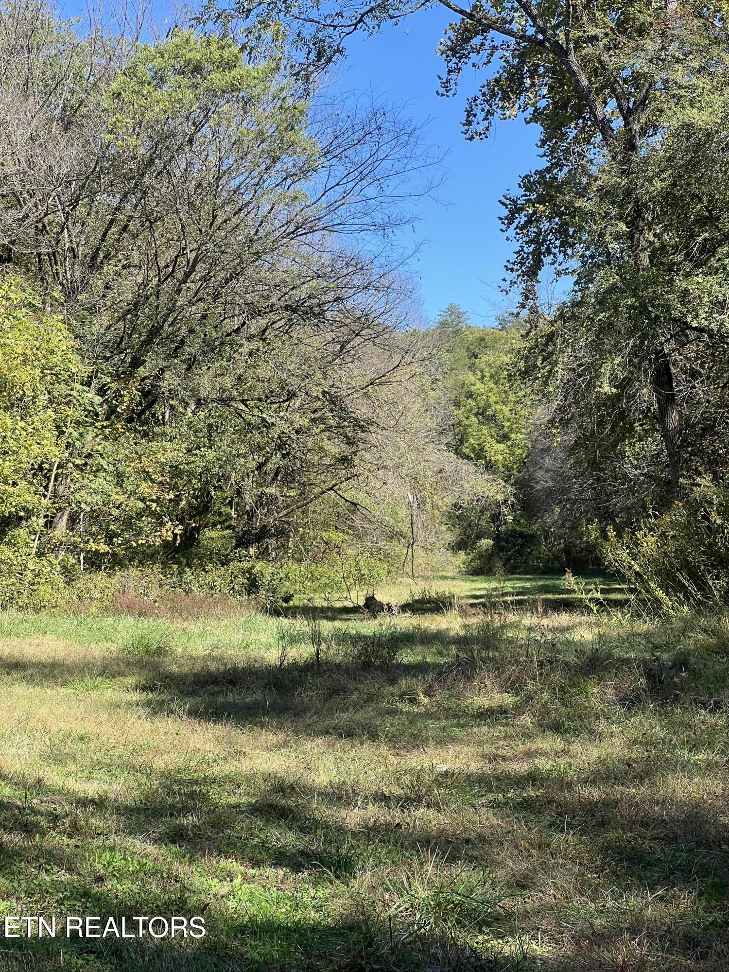 269 Mountain Mist Lane Property Photo 14