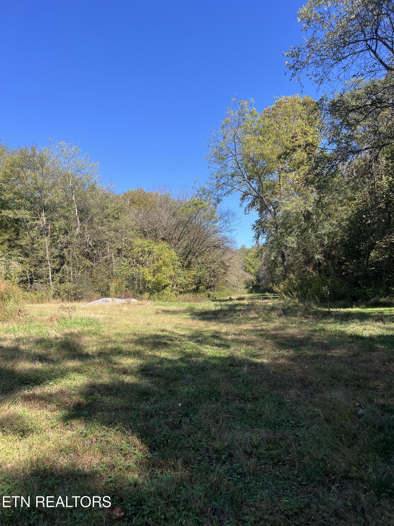 269 Mountain Mist Lane Property Photo 15