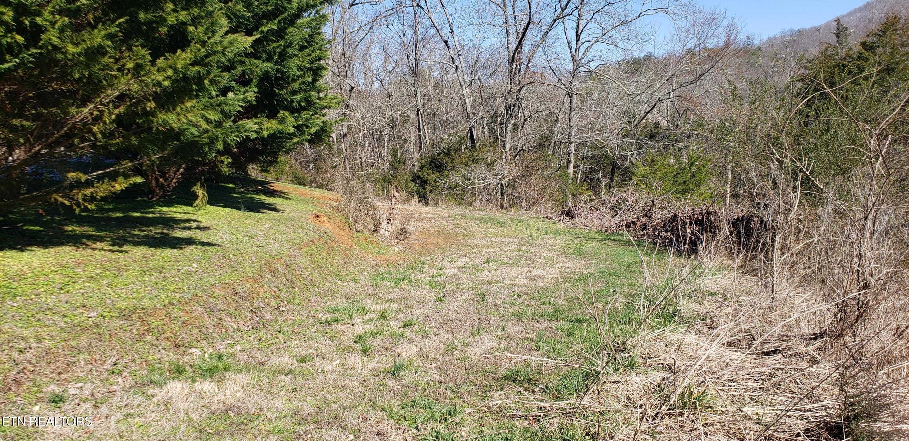 269 Mountain Mist Lane Property Photo 16