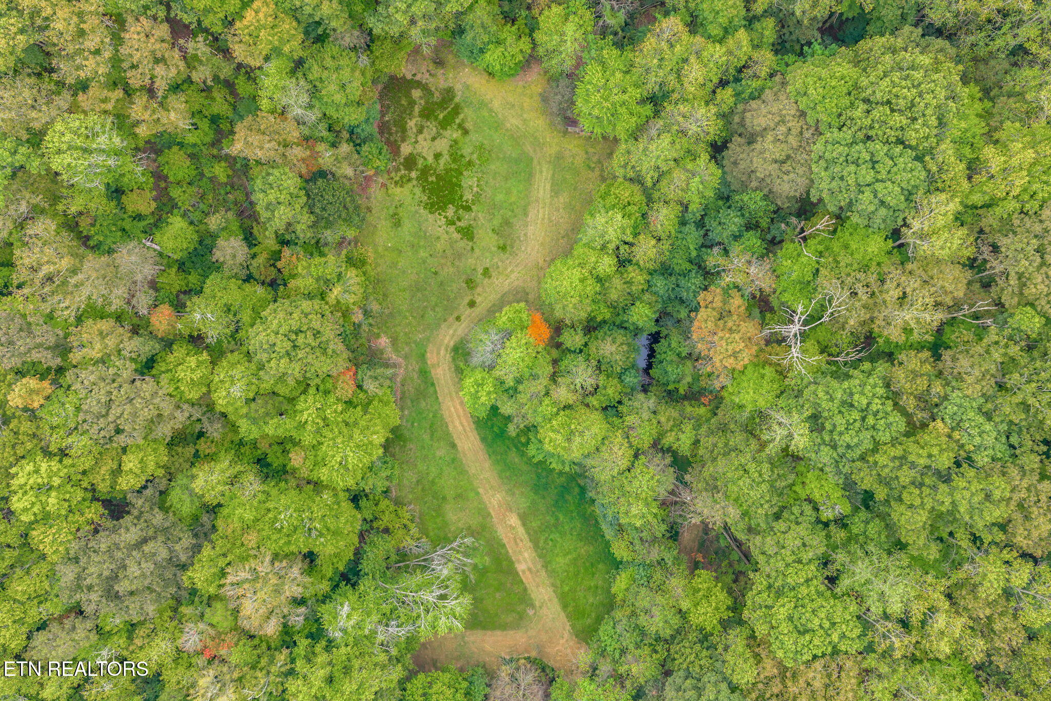 101 142 Autumn Lane Property Photo 10